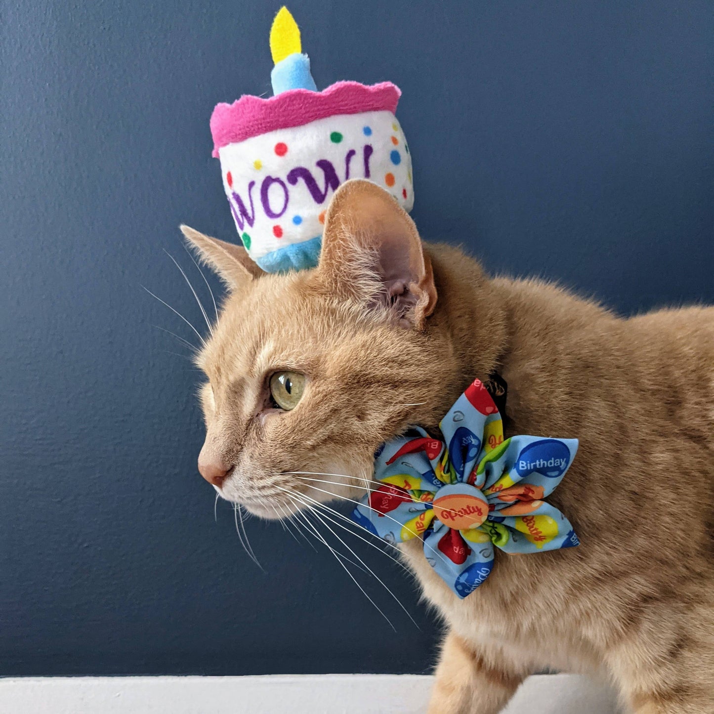 A plush cat toy hat designed like a birthday cake with colorful polka dots and a "WOW!" text, worn by a cat with a matching bow collar.