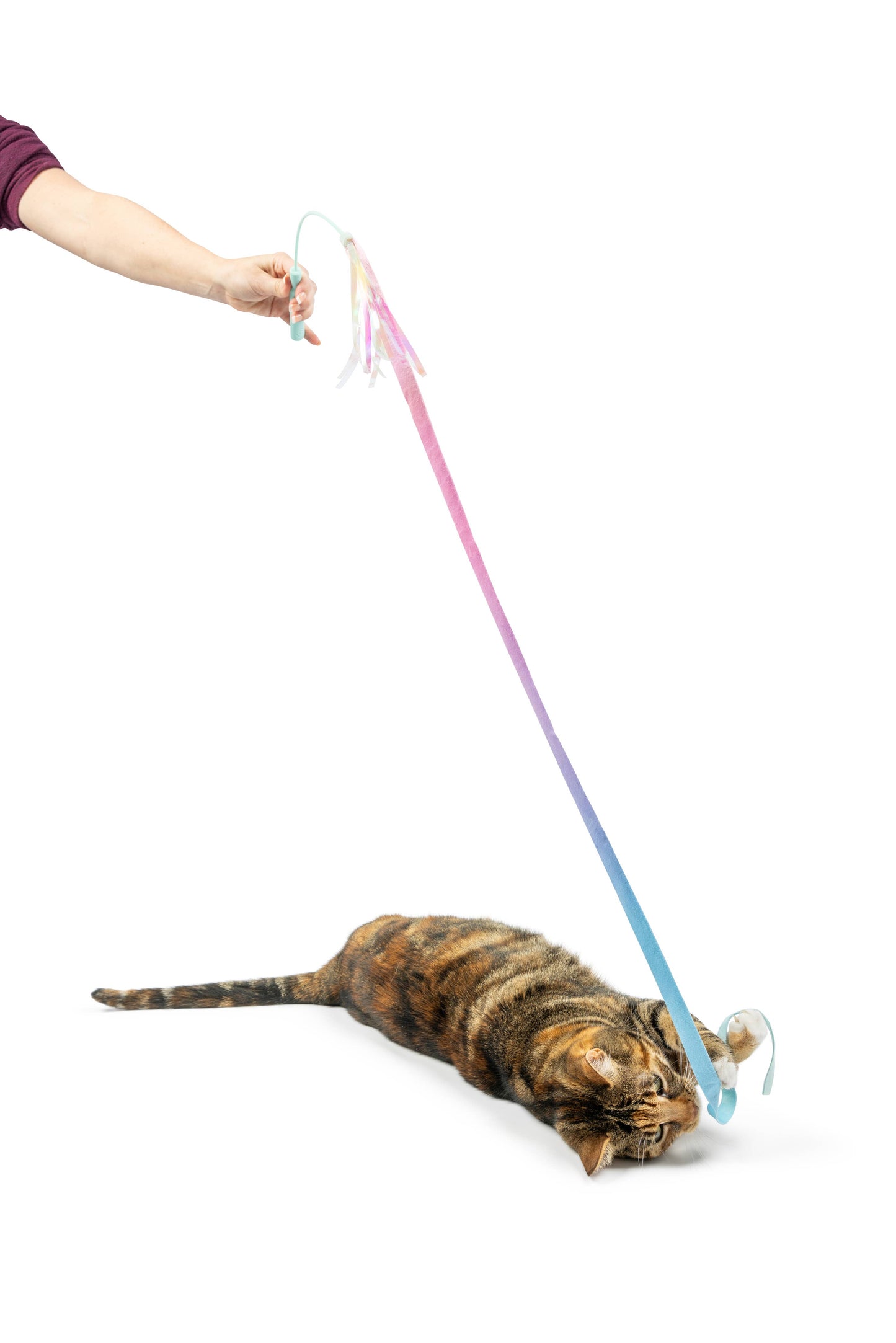 Pastel-colored crinkle wand with ribbon tail and bell, engaging a playful brown tabby cat.
