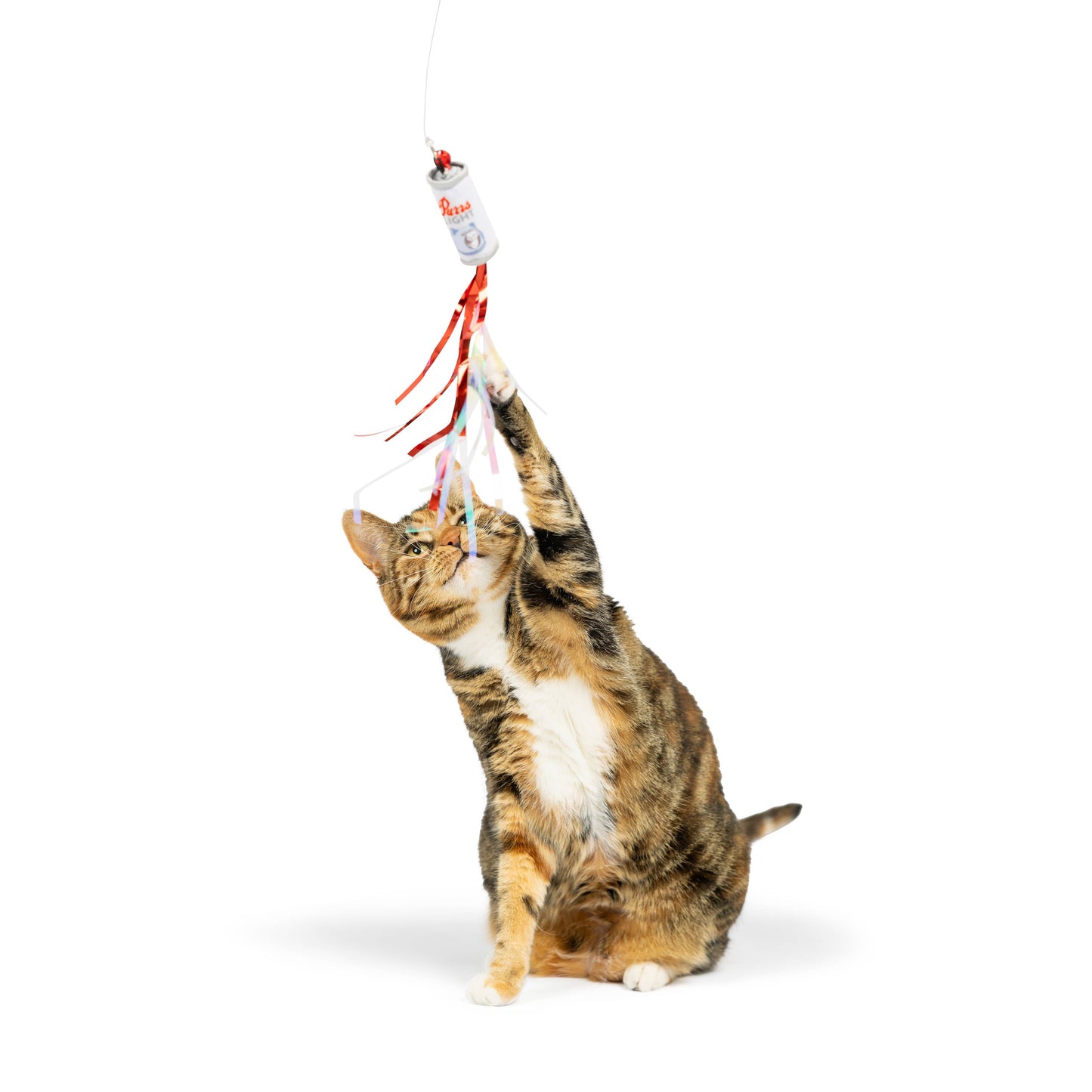 A cat plays with a wand toy featuring colorful streamers attached to a small cylindrical handle.