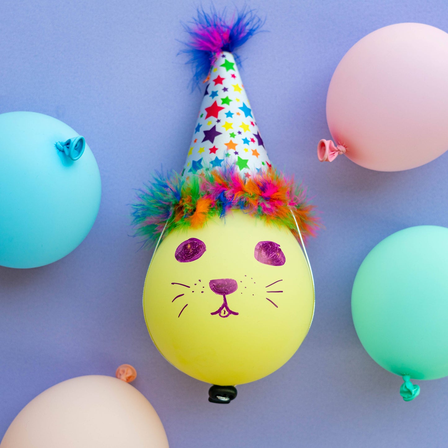 Colorful pet party hat with multicolored stars and fuzzy rim, designed for festive birthdays.