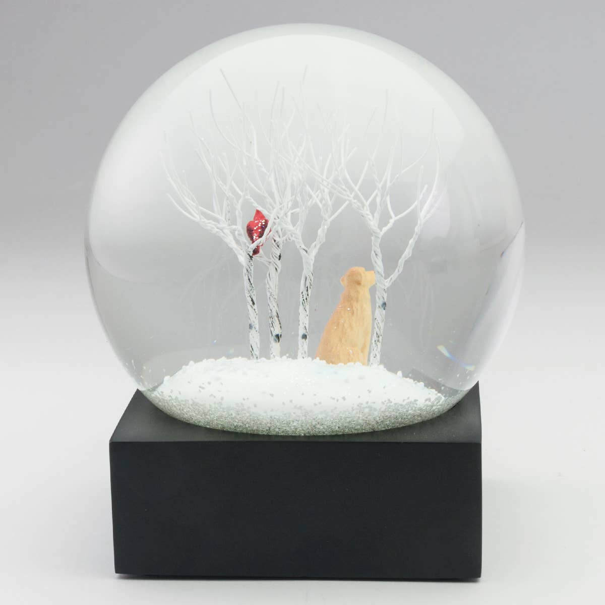 A clear snow globe with a golden retriever and red cardinal in a snowy winter forest scene.