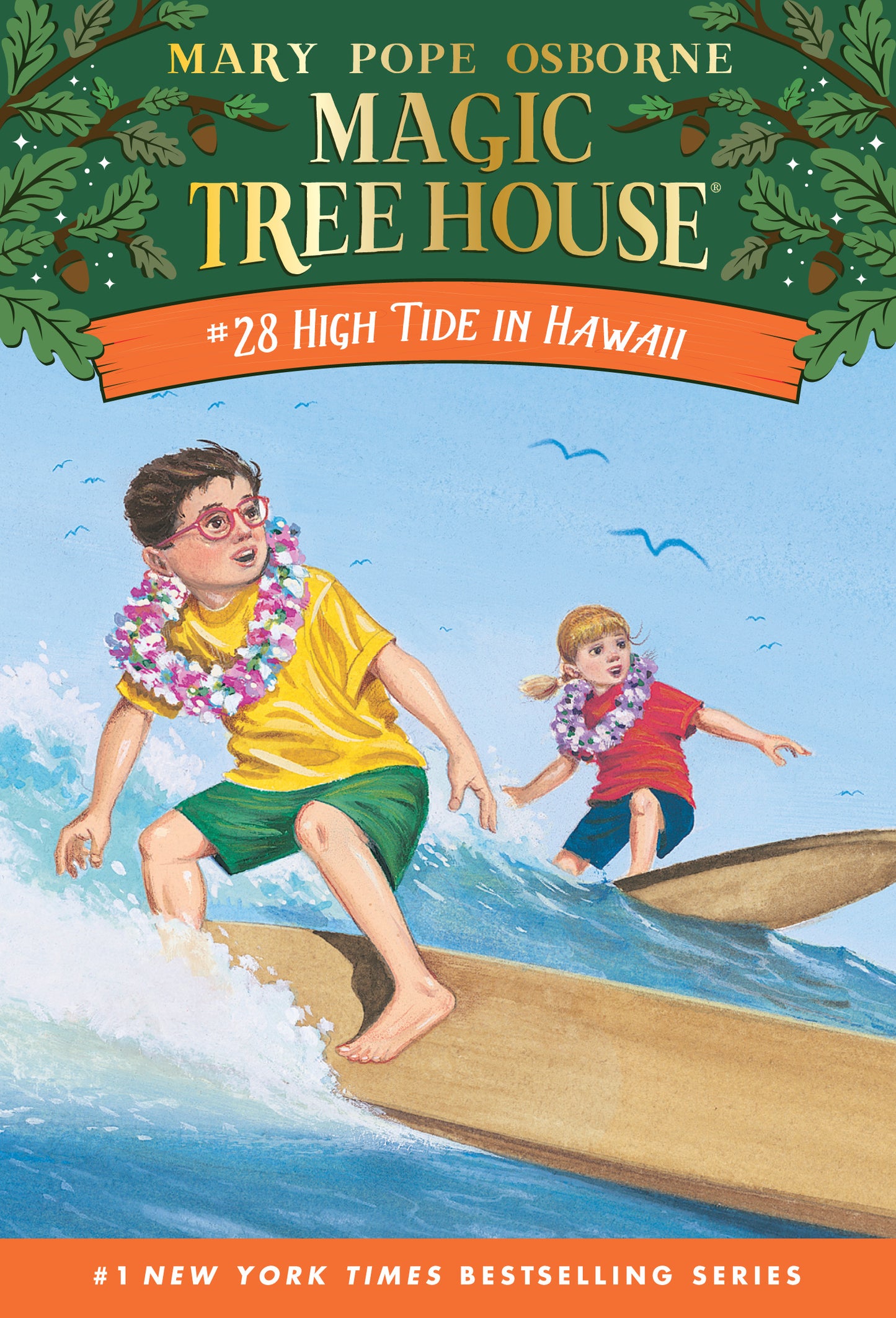 Illustrated book cover showing two children surfing on a wave wearing leis