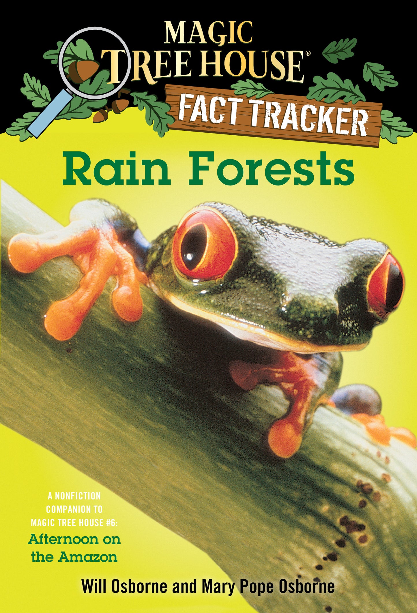 Close-up of a red-eyed tree frog on the cover of a children's nonfiction book about rain forests.