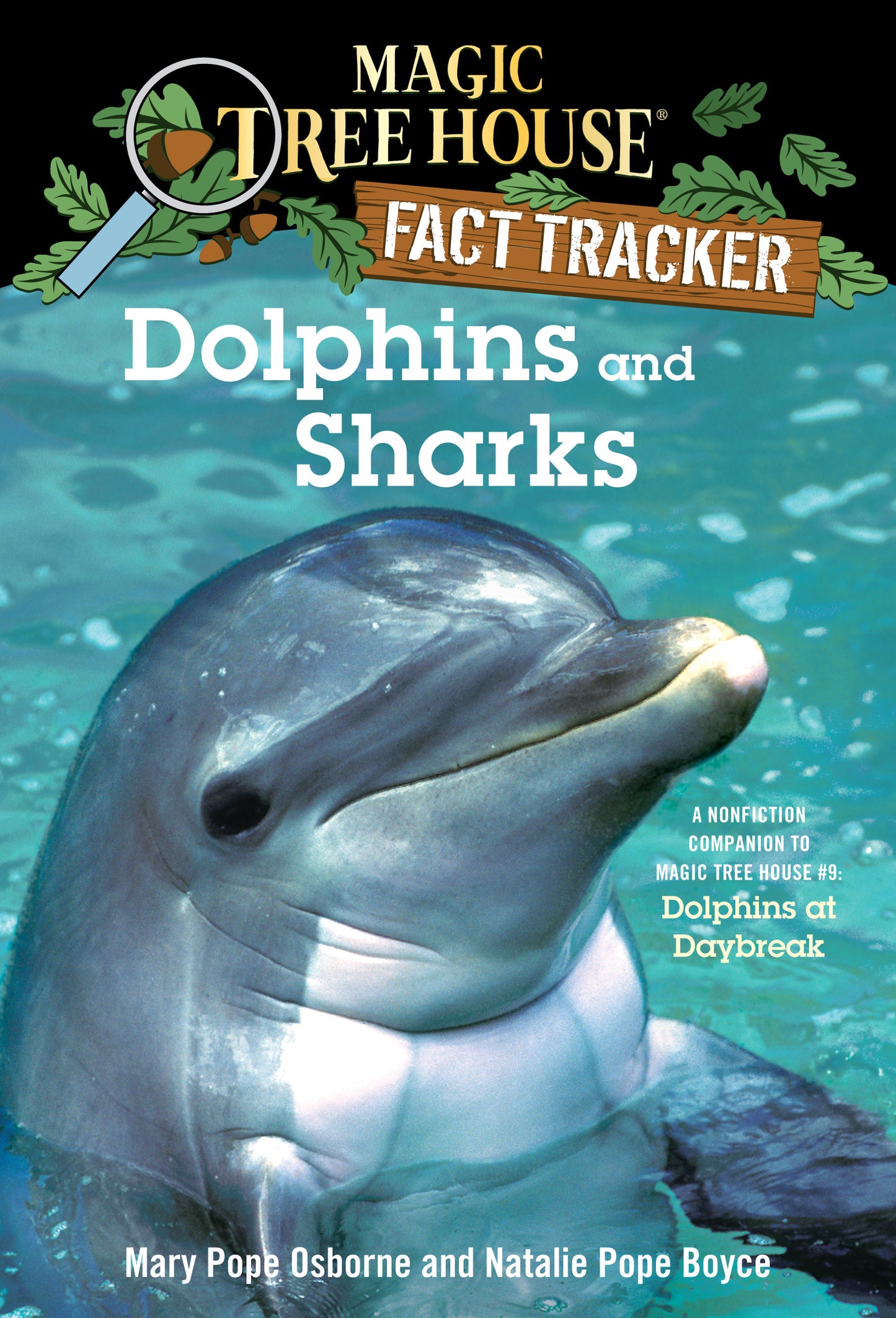 Book cover showing a smiling dolphin underwater with title 'Dolphins and Sharks'