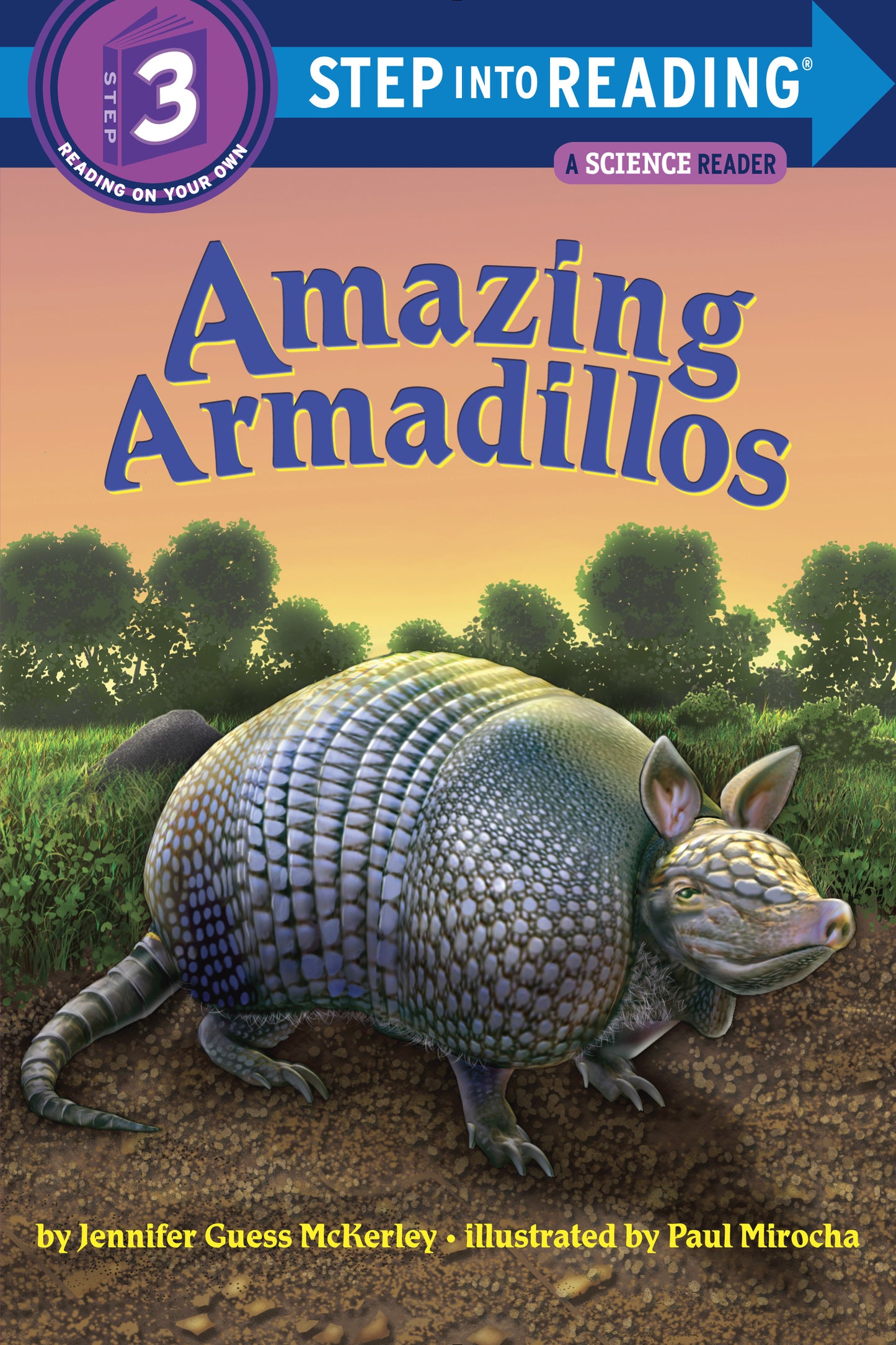 Illustrated children's book cover showing an armadillo in a grassy field at sunset