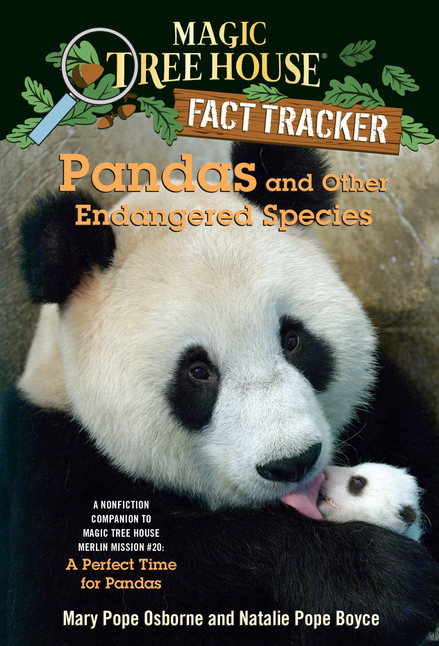 Close-up of panda with cub on book cover for children's nonfiction book
