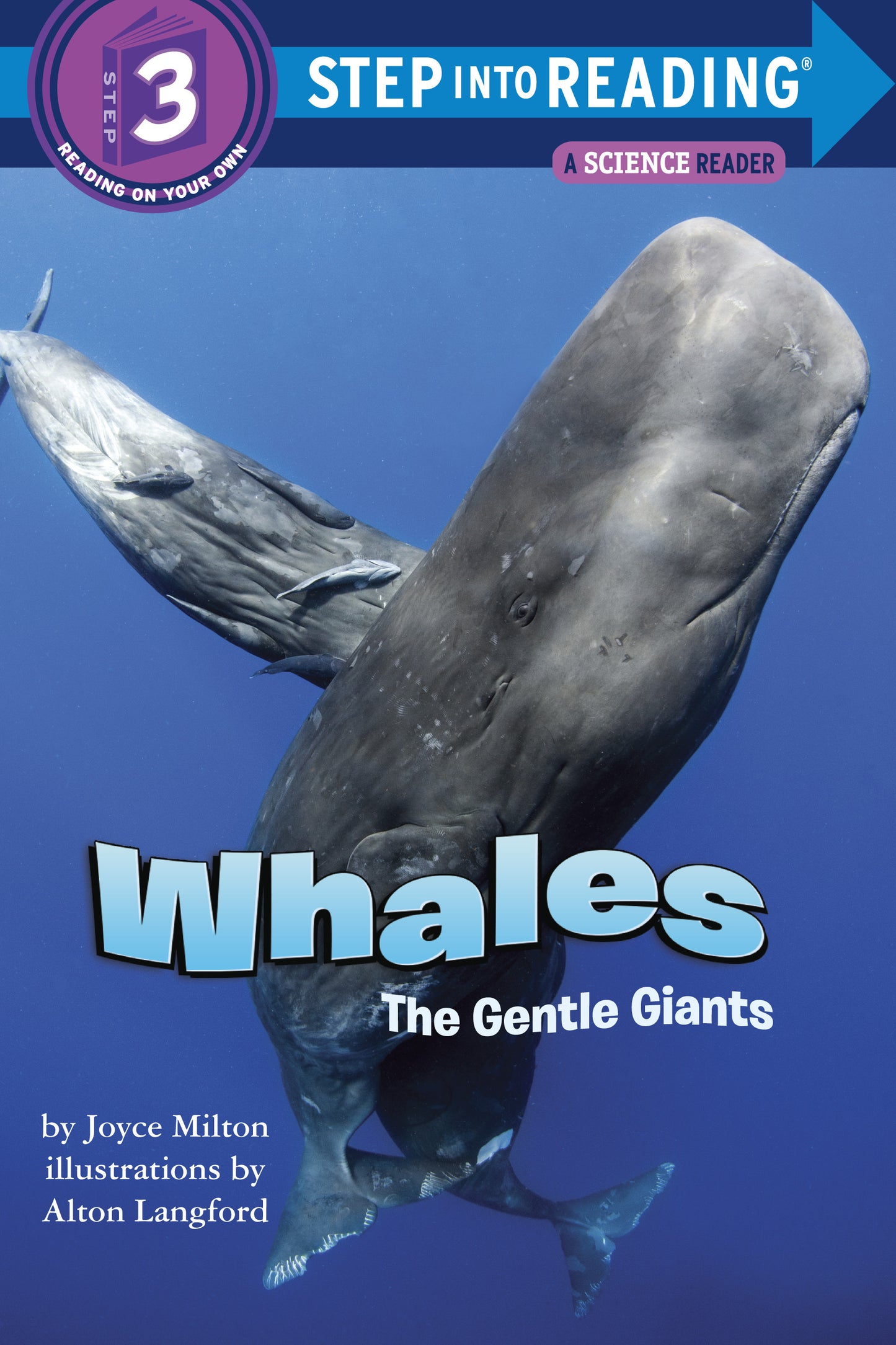 Children's ocean science book cover featuring a large whale underwater