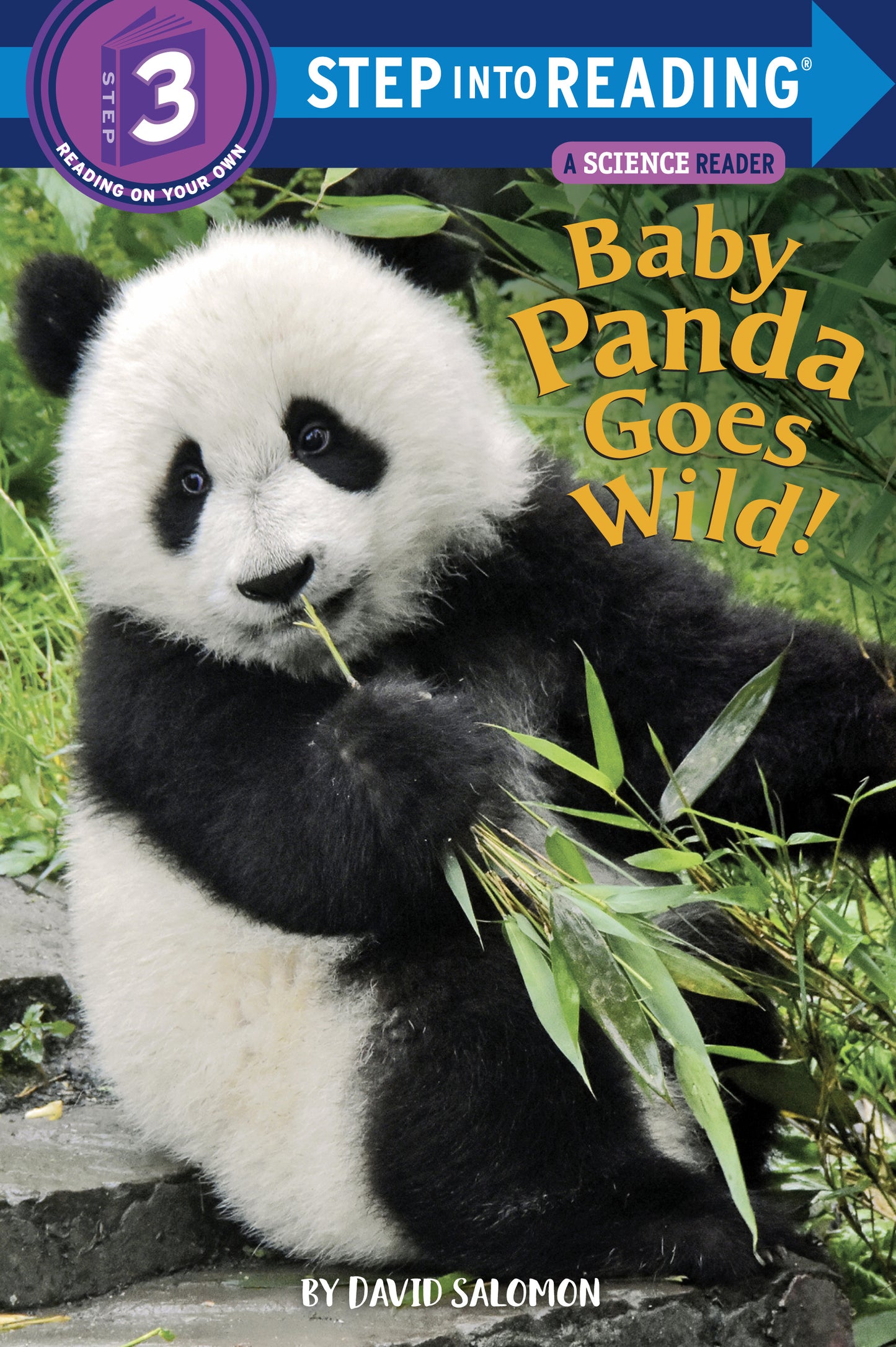 Cover of children's book showing a baby panda eating bamboo
