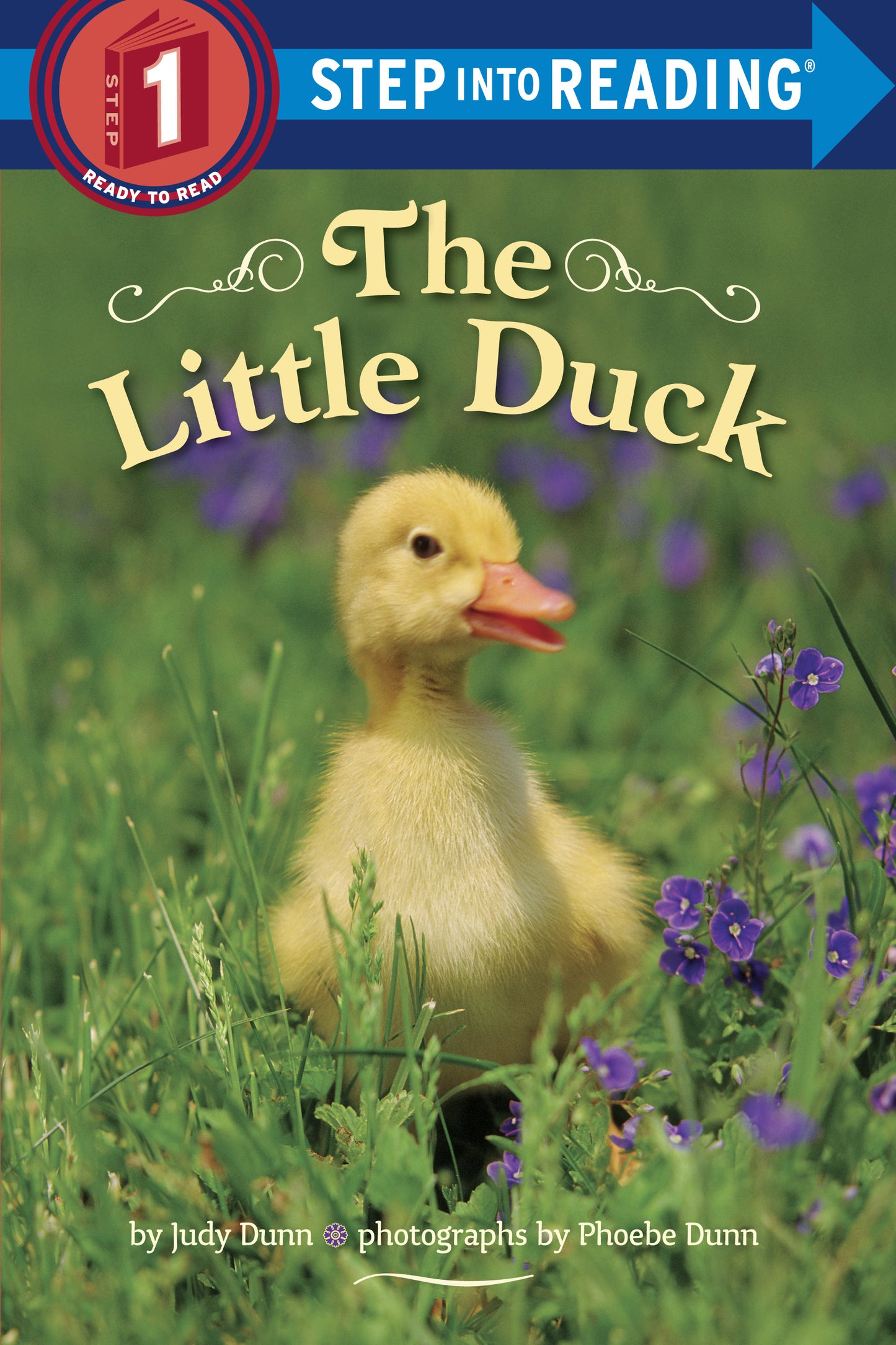 Photographic picture book cover showing a yellow duckling in grass with purple flowers