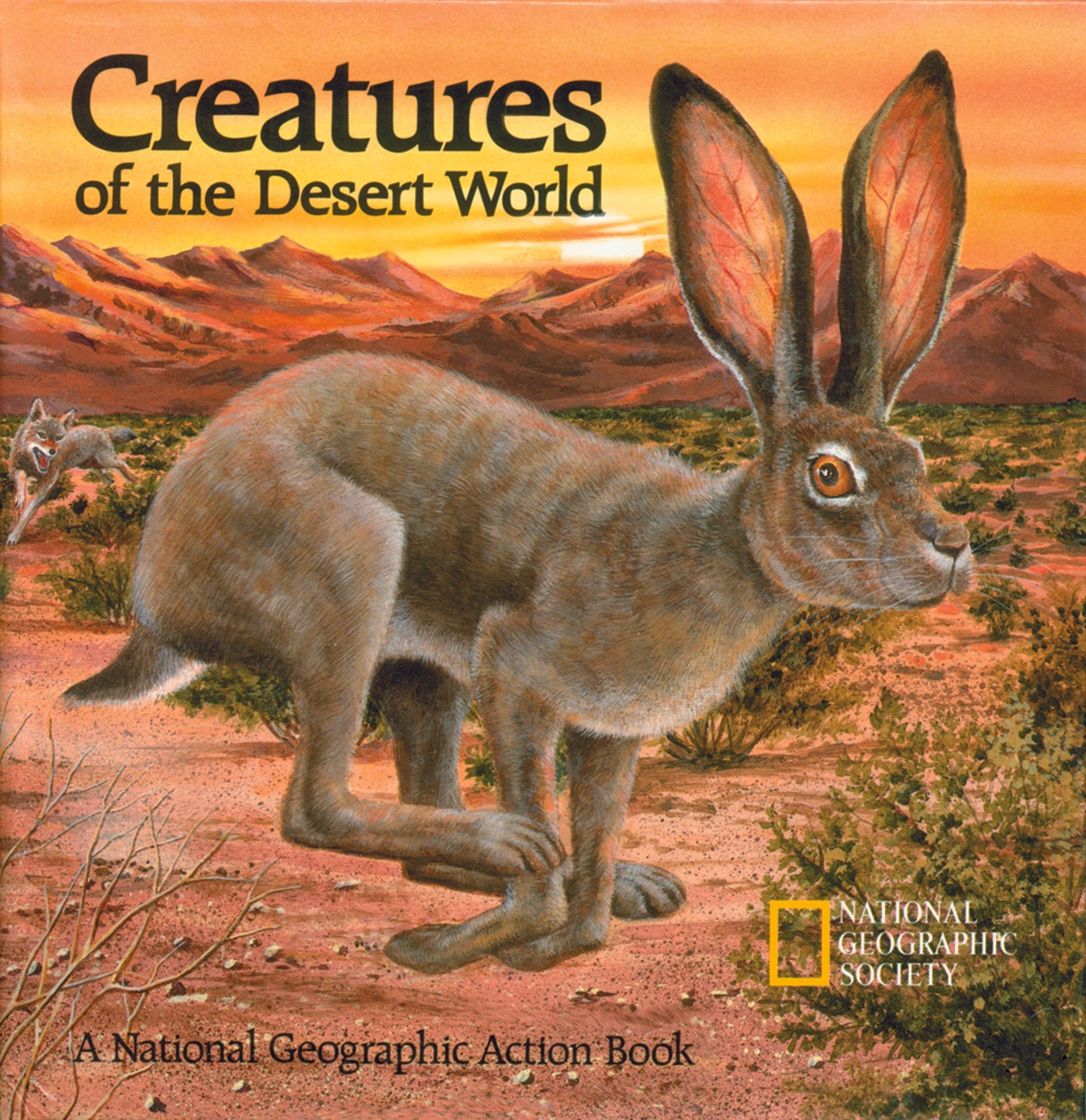 Illustrated pop-up book cover showing a desert hare in the Sonoran Desert at sunset.