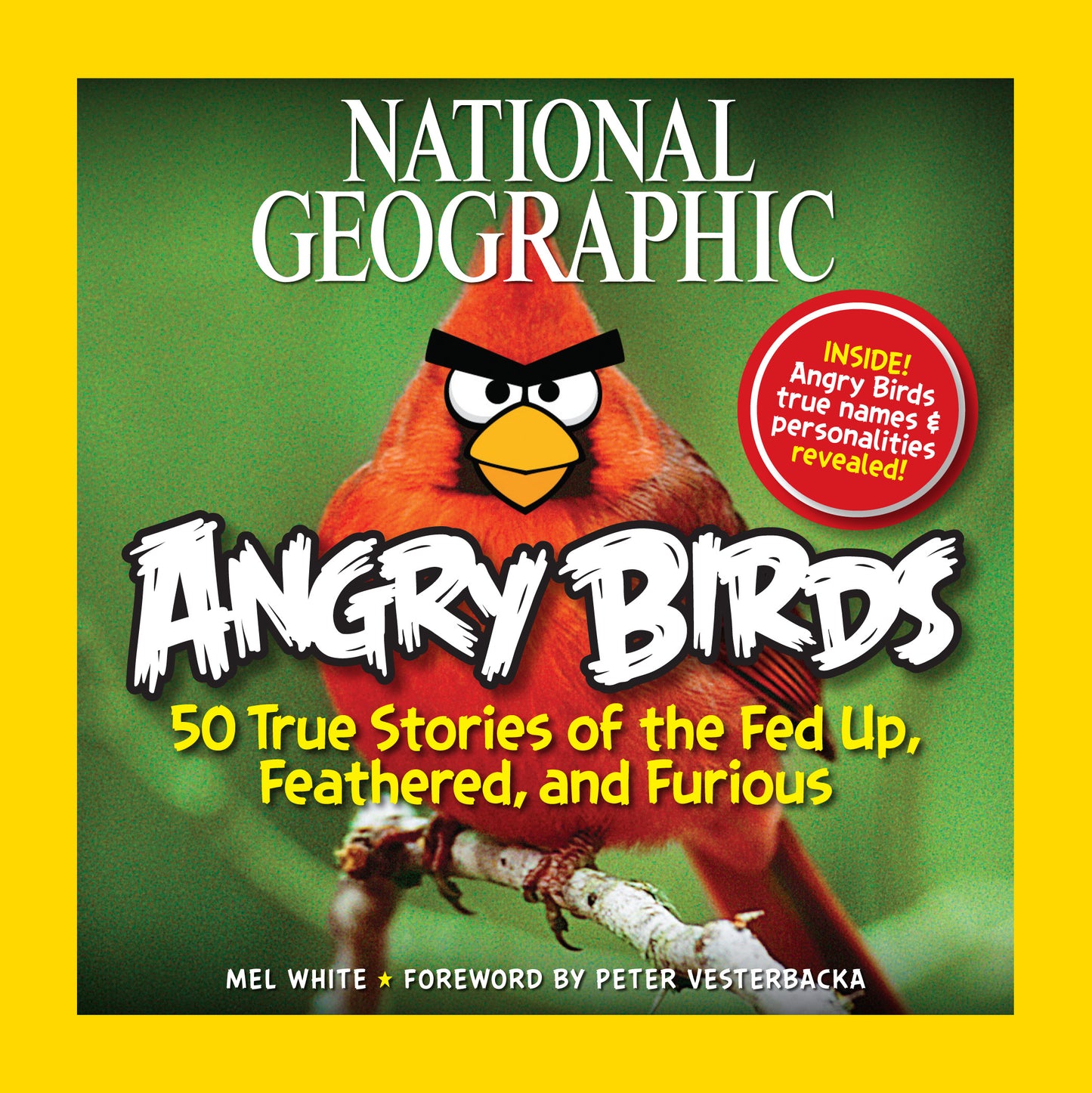 National Geographic Angry Birds book cover featuring a red, cartoon-style bird