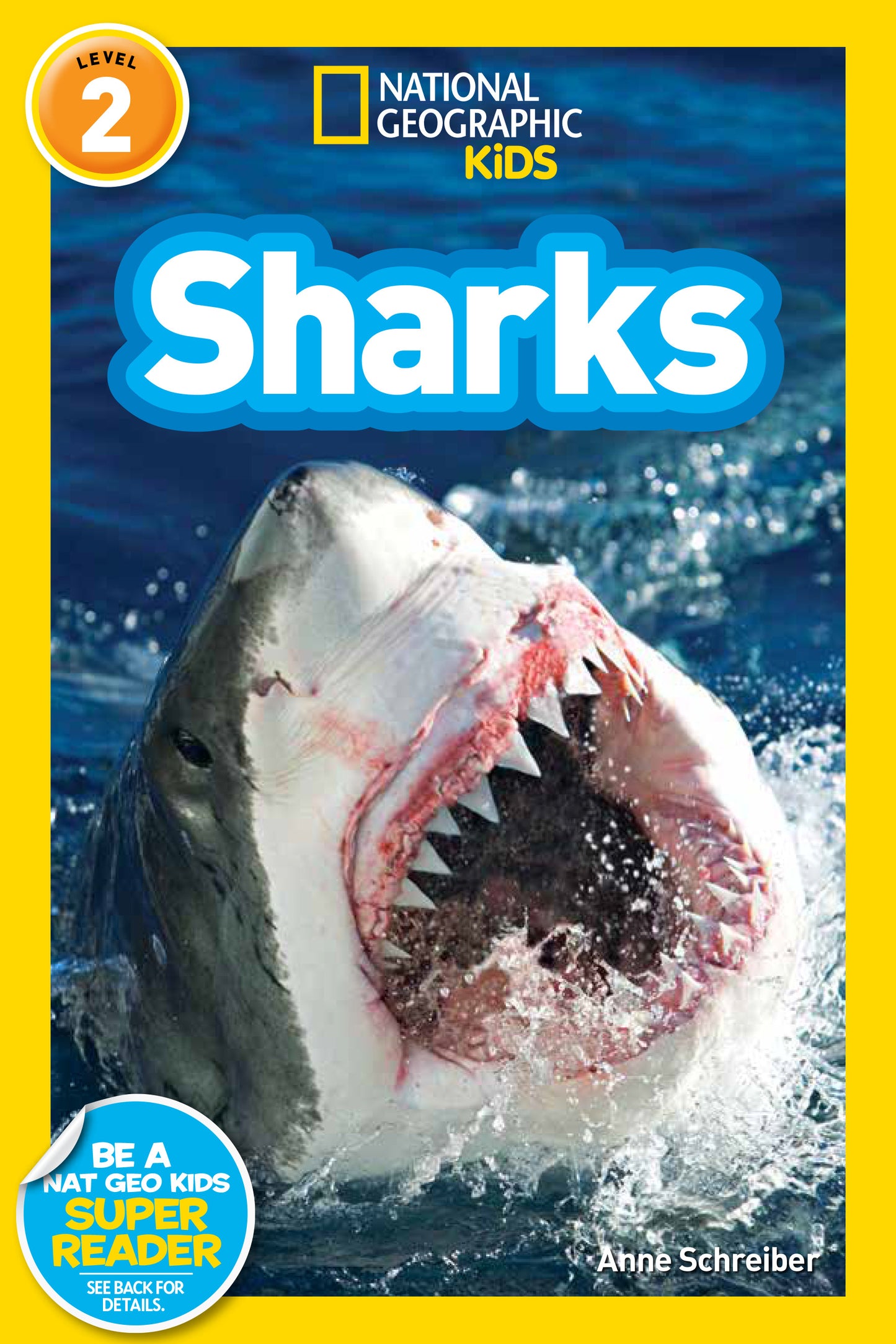 Close-up of a great white shark on the cover of a children's shark book