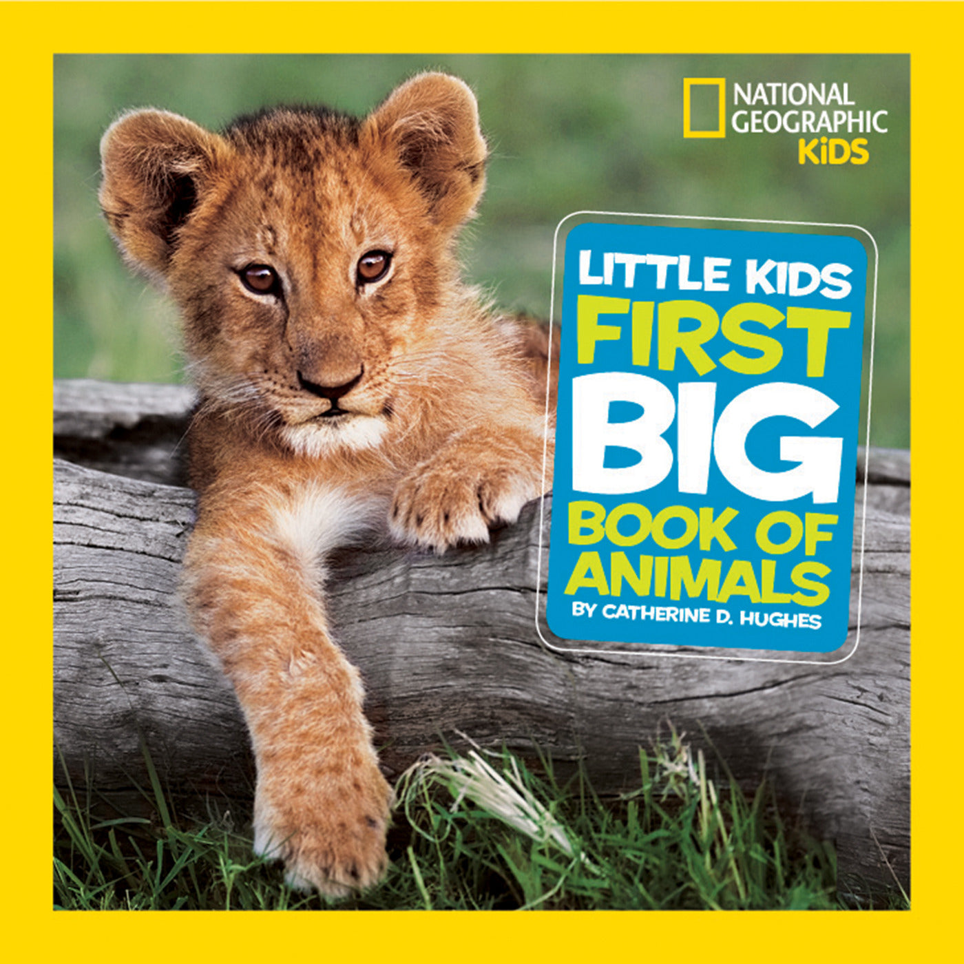Cover image of National Geographic Little Kids First Big Book of Animals featuring a lion cub