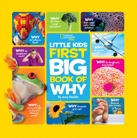 Colorful educational book cover with playful question images for kids