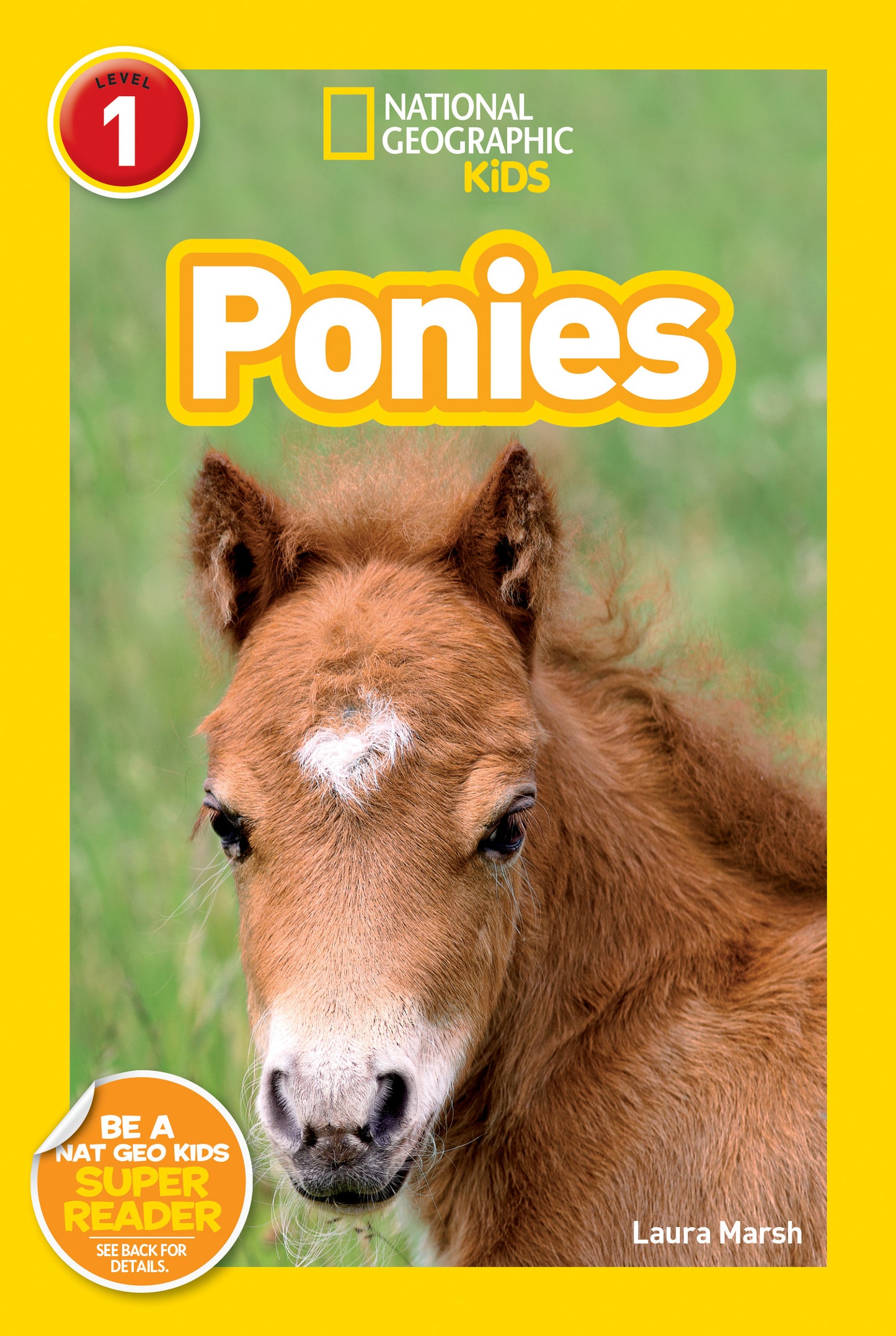 Close-up of a fuzzy brown pony on a children's book cover