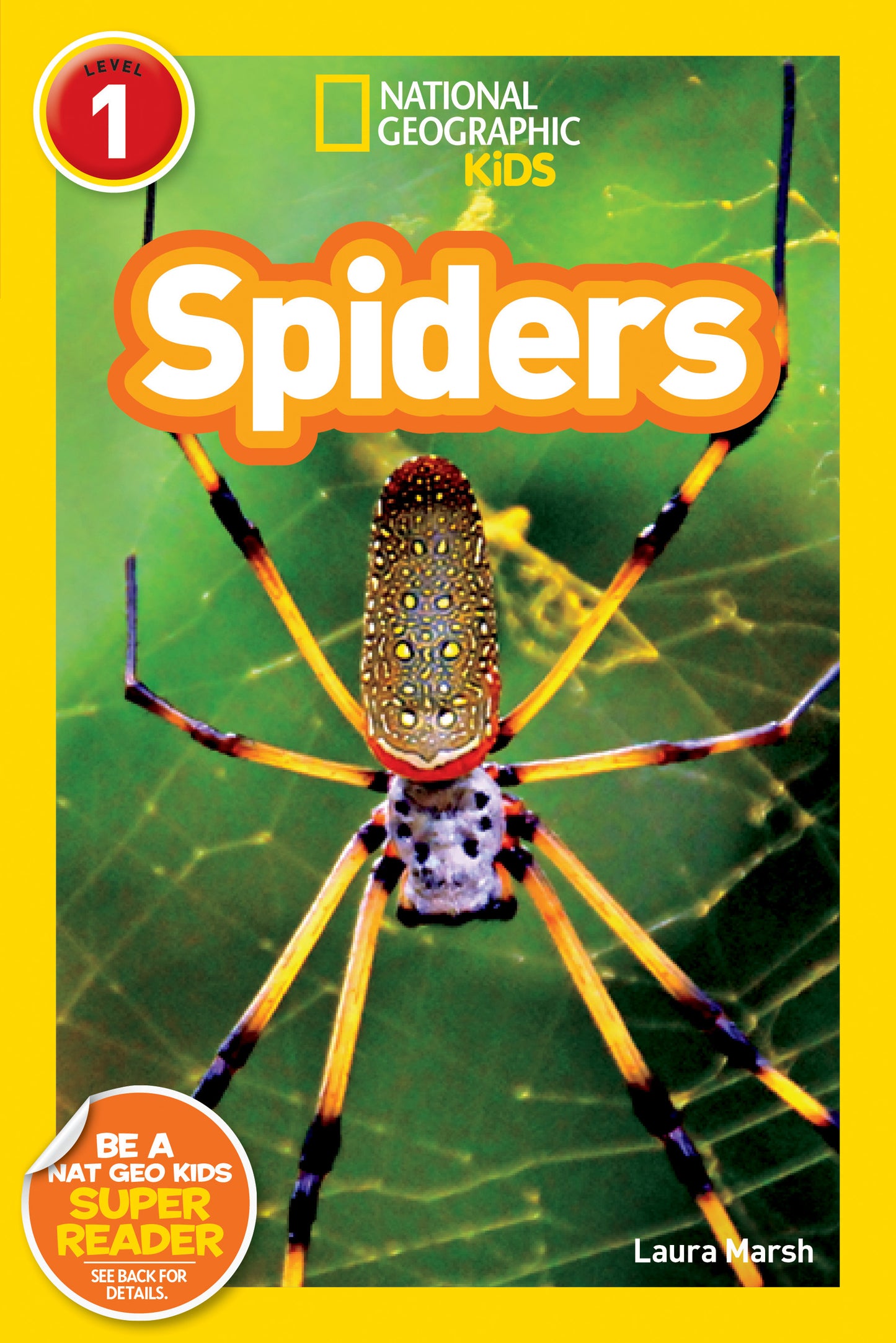Children's book cover with close-up photo of a colorful spider on web