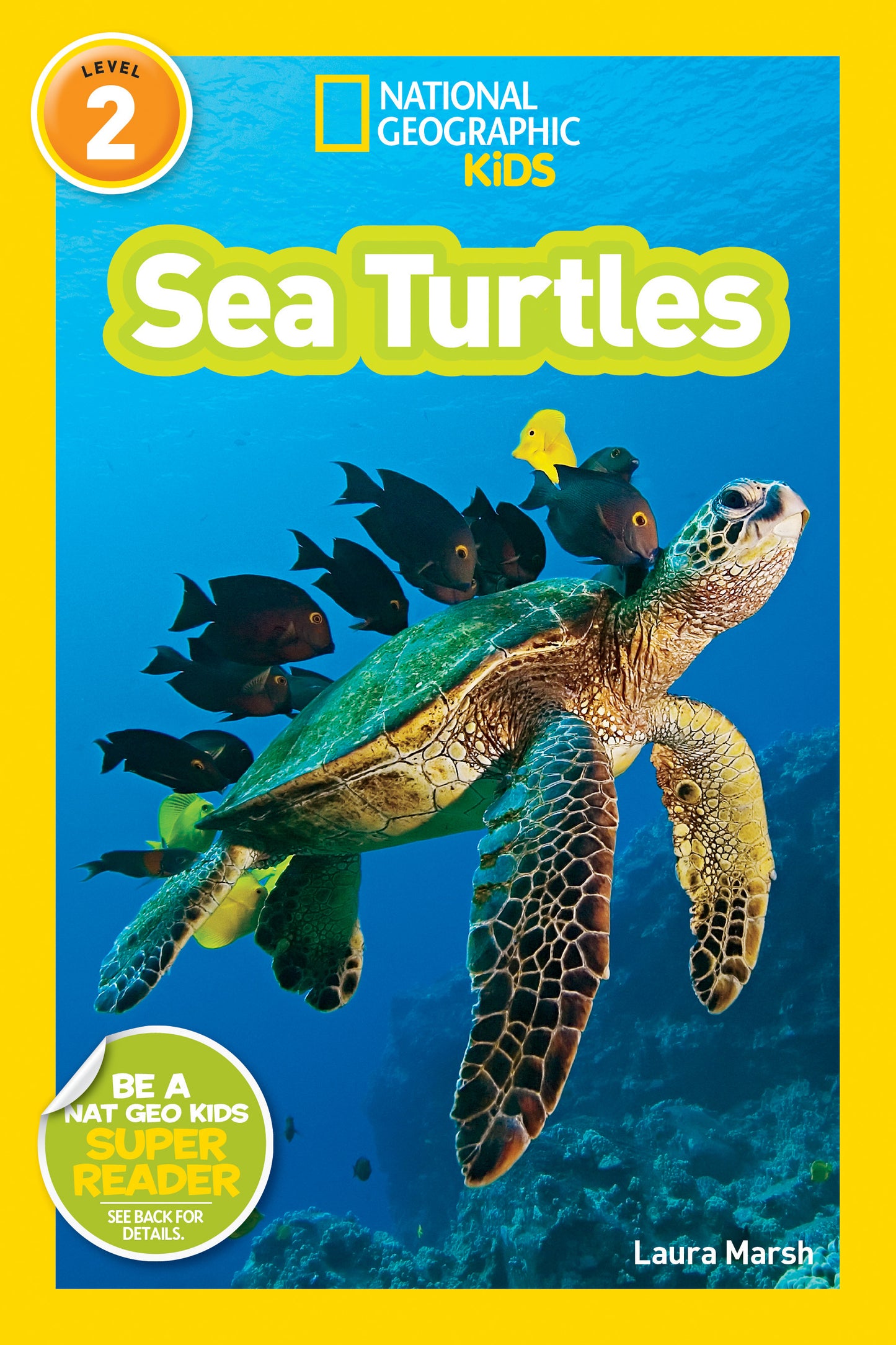 Children's sea turtle book cover featuring underwater photo of a sea turtle with fish