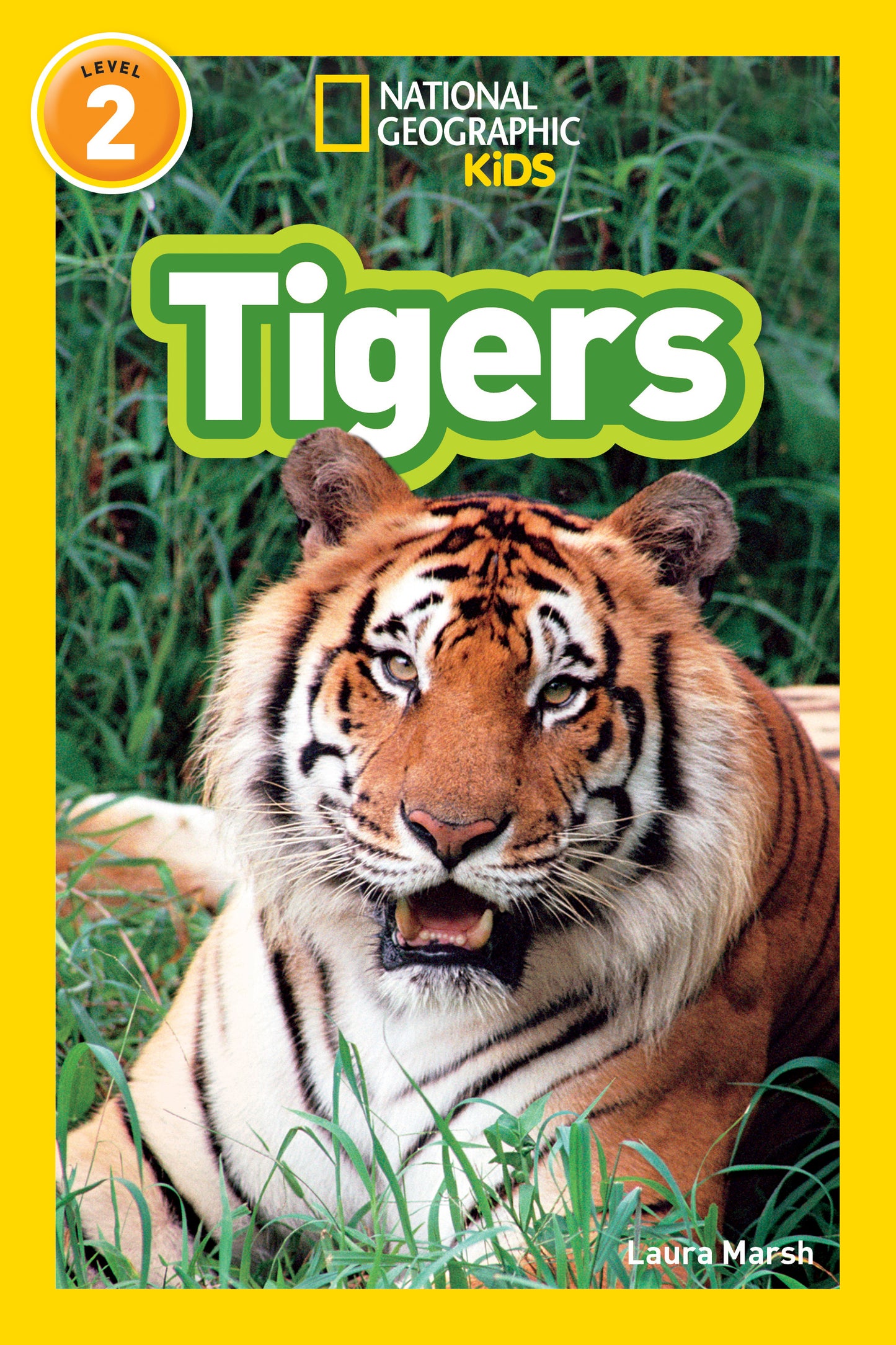 Close-up of a tiger on the cover of a children’s educational book