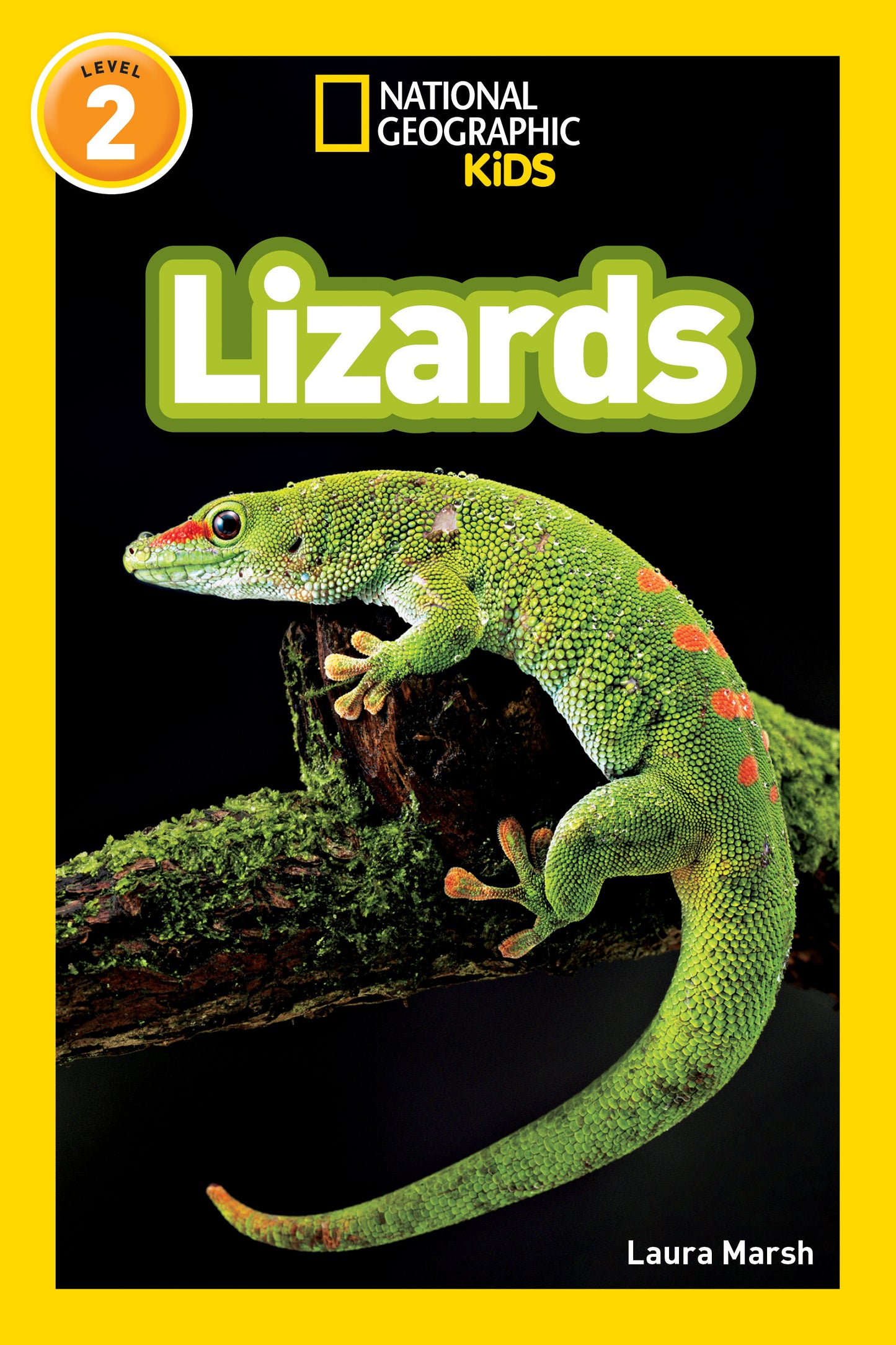 Close-up of a colorful green lizard on a tree branch, National Geographic Kids book cover.