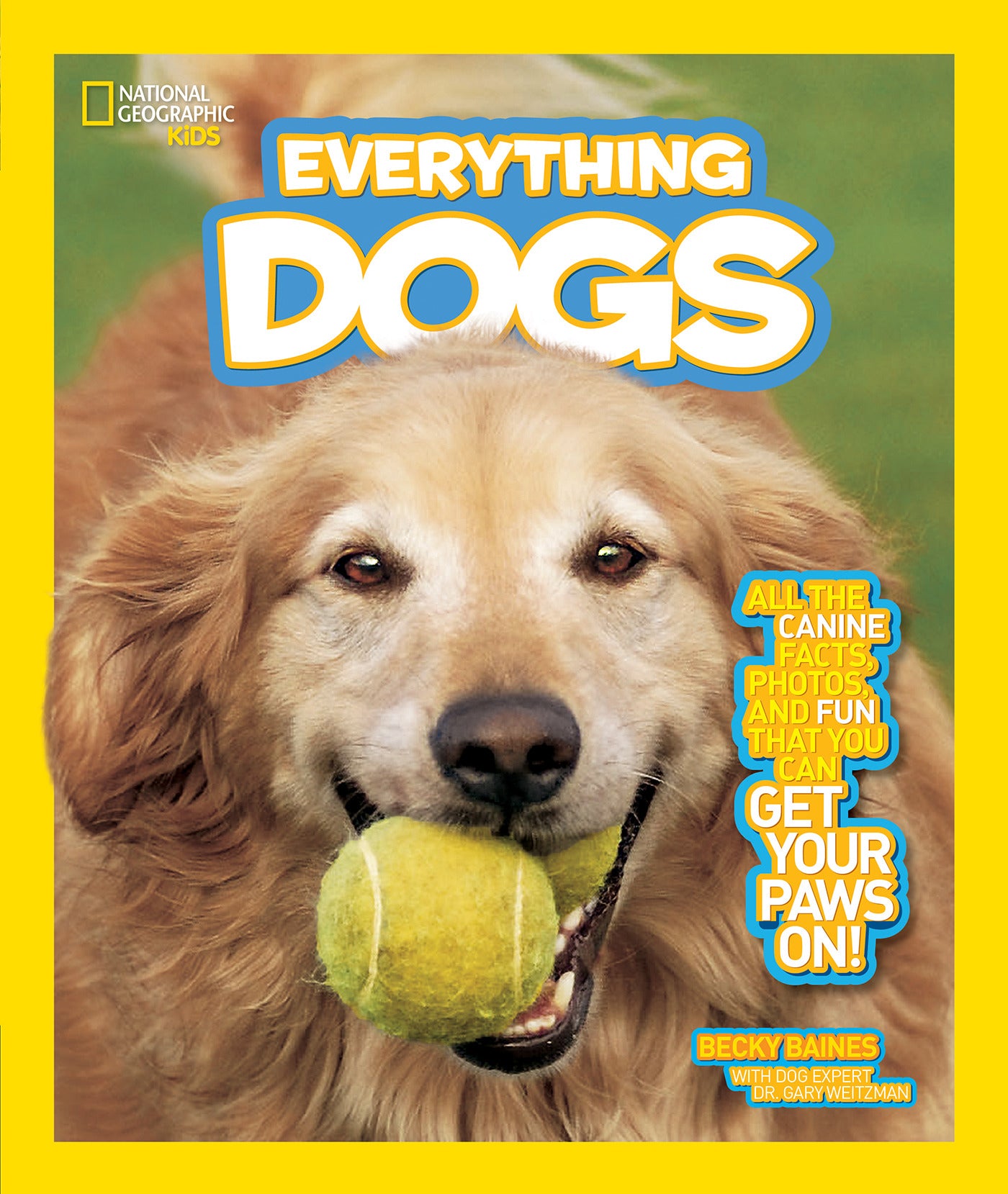 Close-up of a golden retriever with a tennis ball from the book National Geographic Kids Everything Dogs