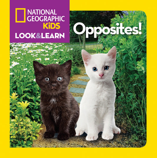 Board book cover with black and white kittens symbolizing opposites