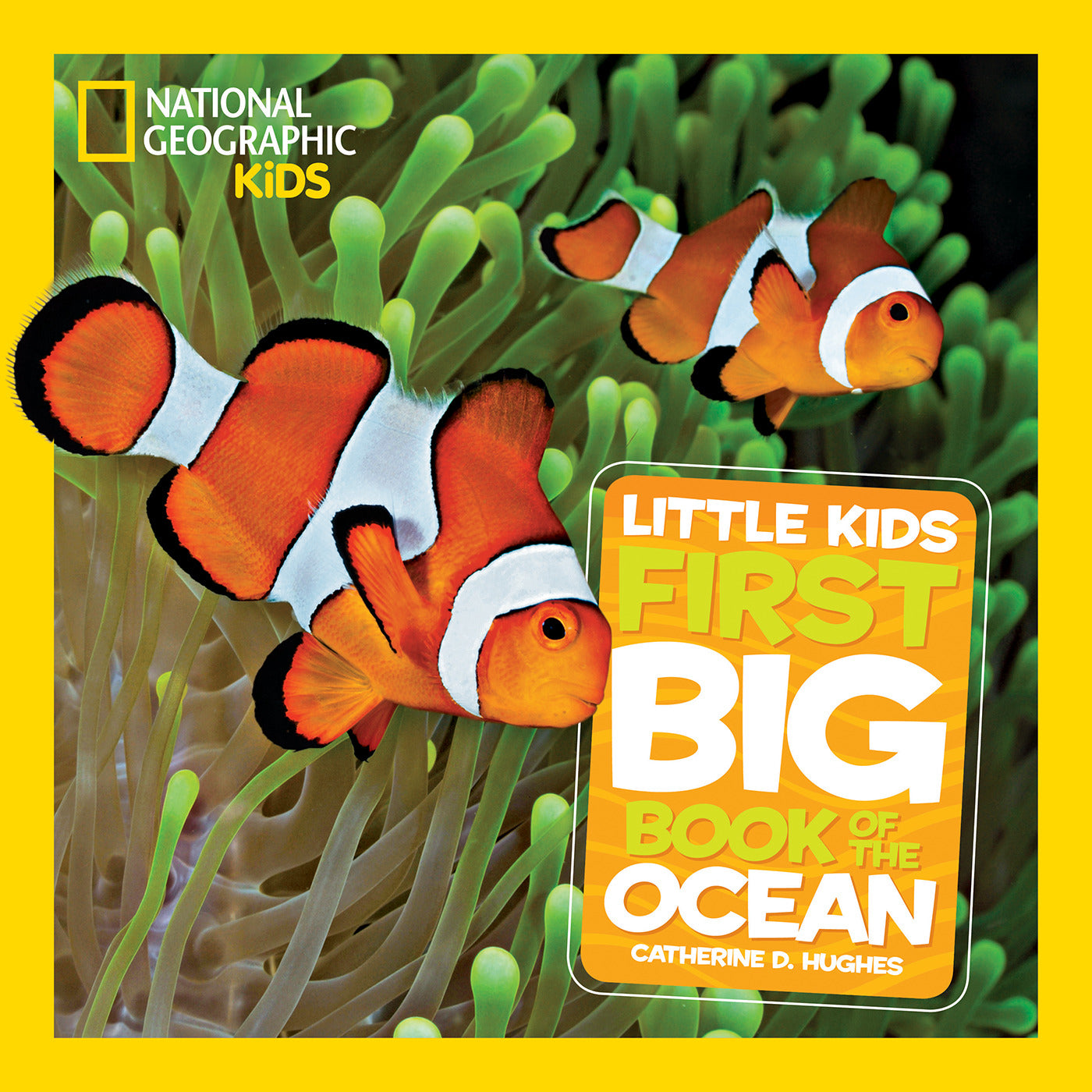 National Geographic Little Kids First Big Books National Geographic Little Kids First Big Book of the Ocean