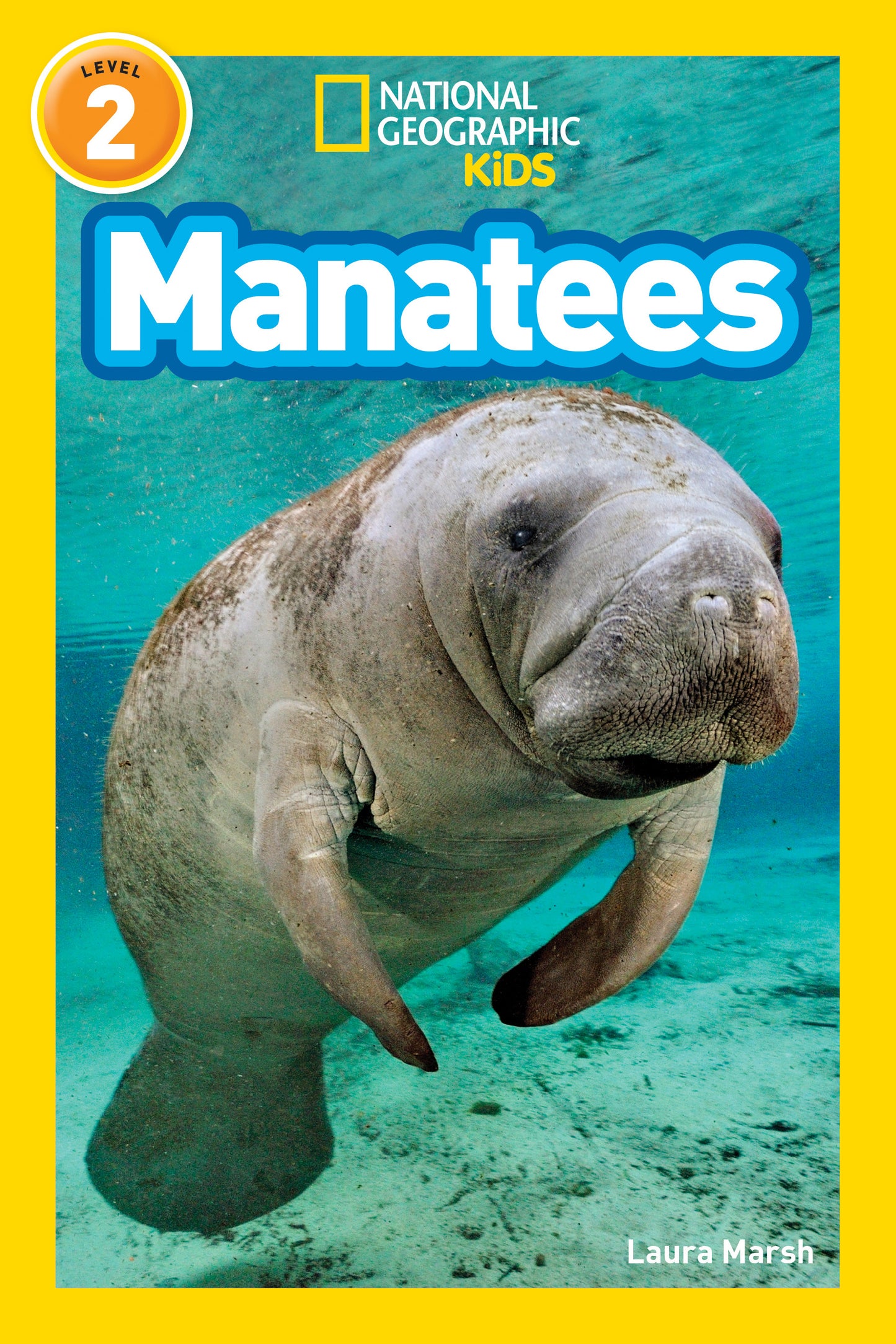 Children's book cover showing a manatee swimming underwater