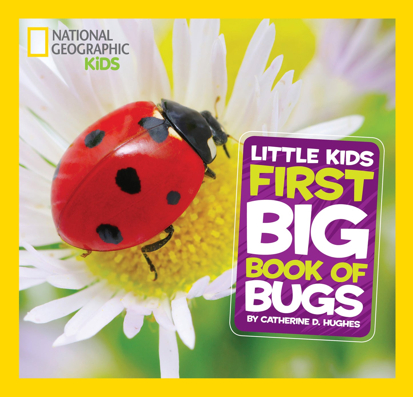 Children’s bug book with ladybug on flower cover