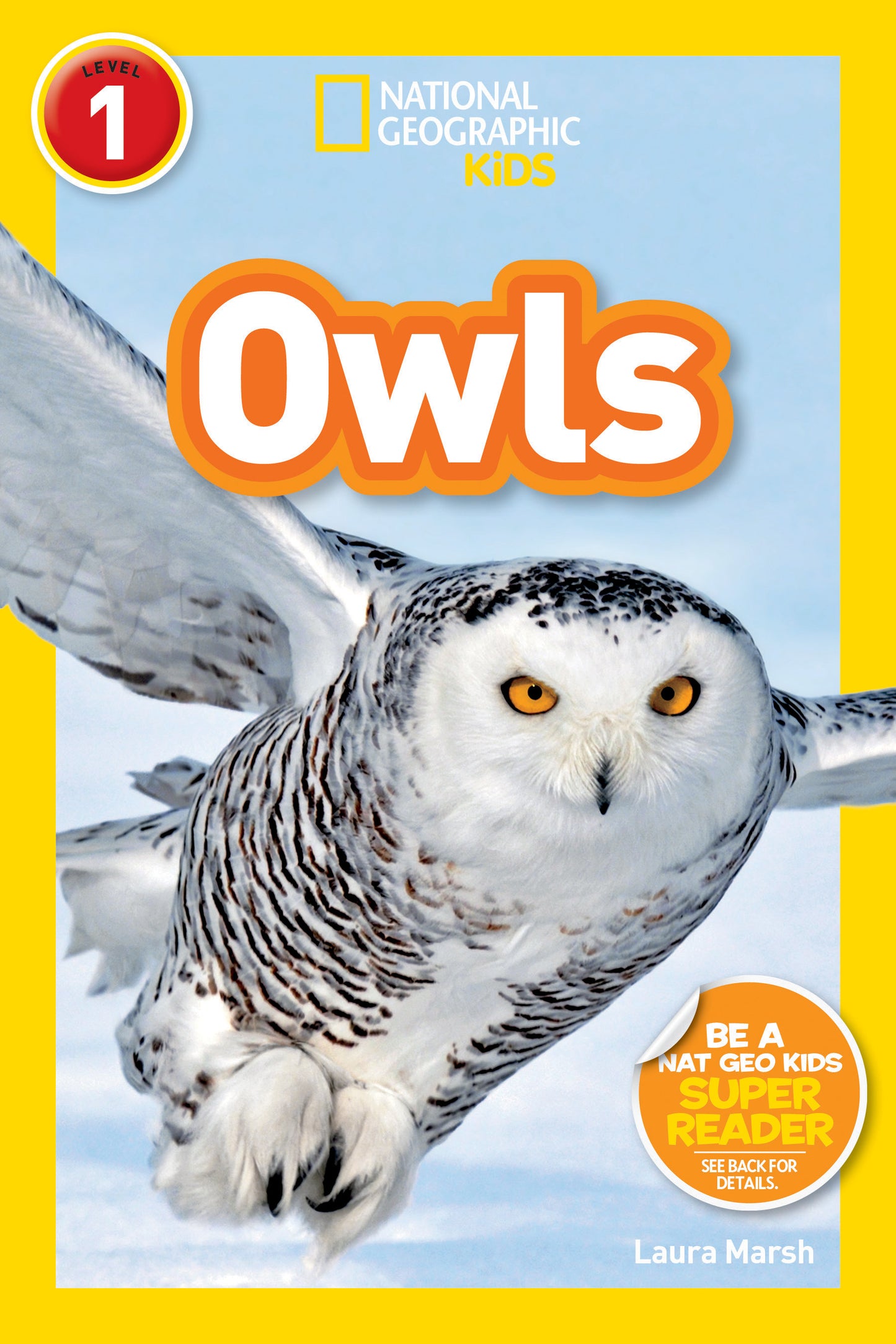 Children’s owl book cover with flying snowy owl and bold orange title text