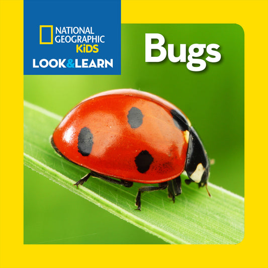 Close-up of a ladybug on a green leaf with the title 'Bugs' from National Geographic Kids