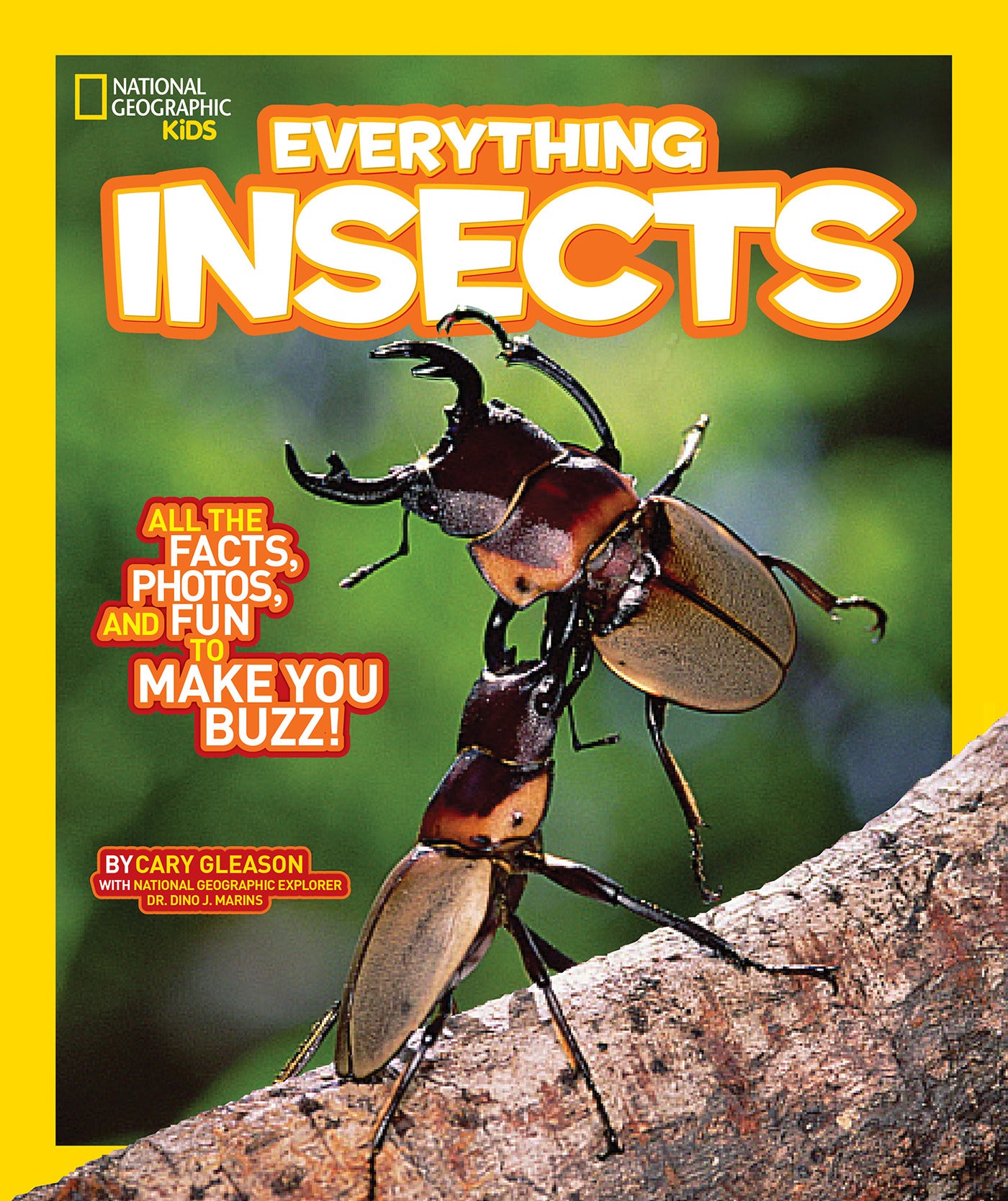 Cover of National Geographic Kids Everything Insects book featuring two beetles
