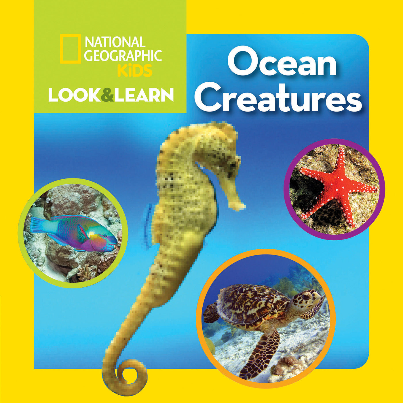 Colorful children's board book cover featuring seahorse and sea animals