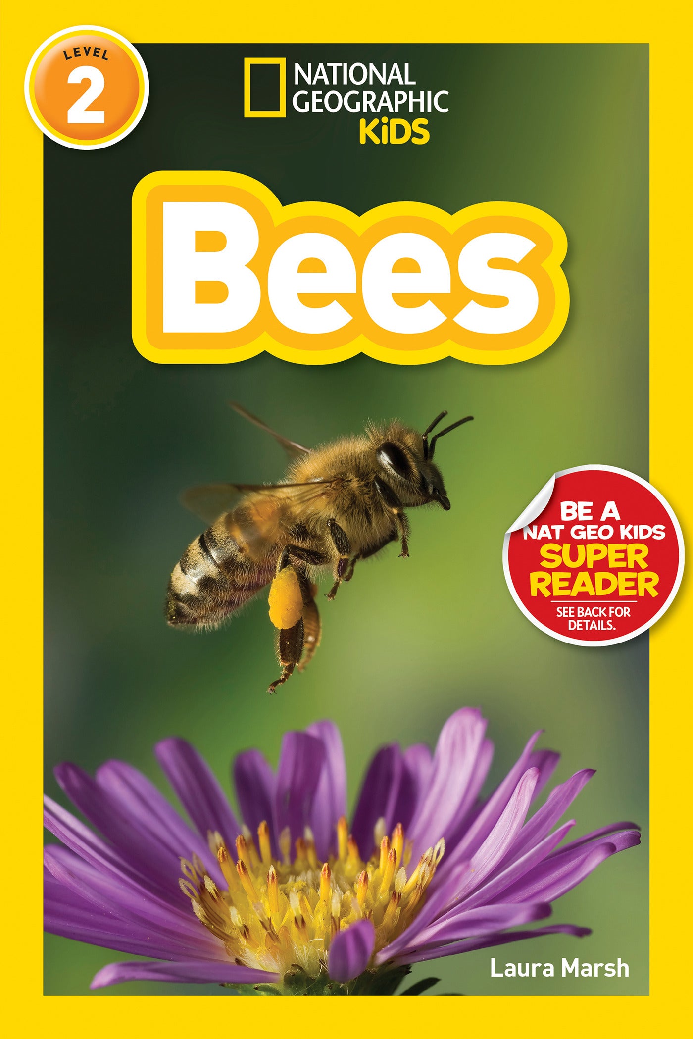 Children’s educational book about bees with close-up photo of bee on flower