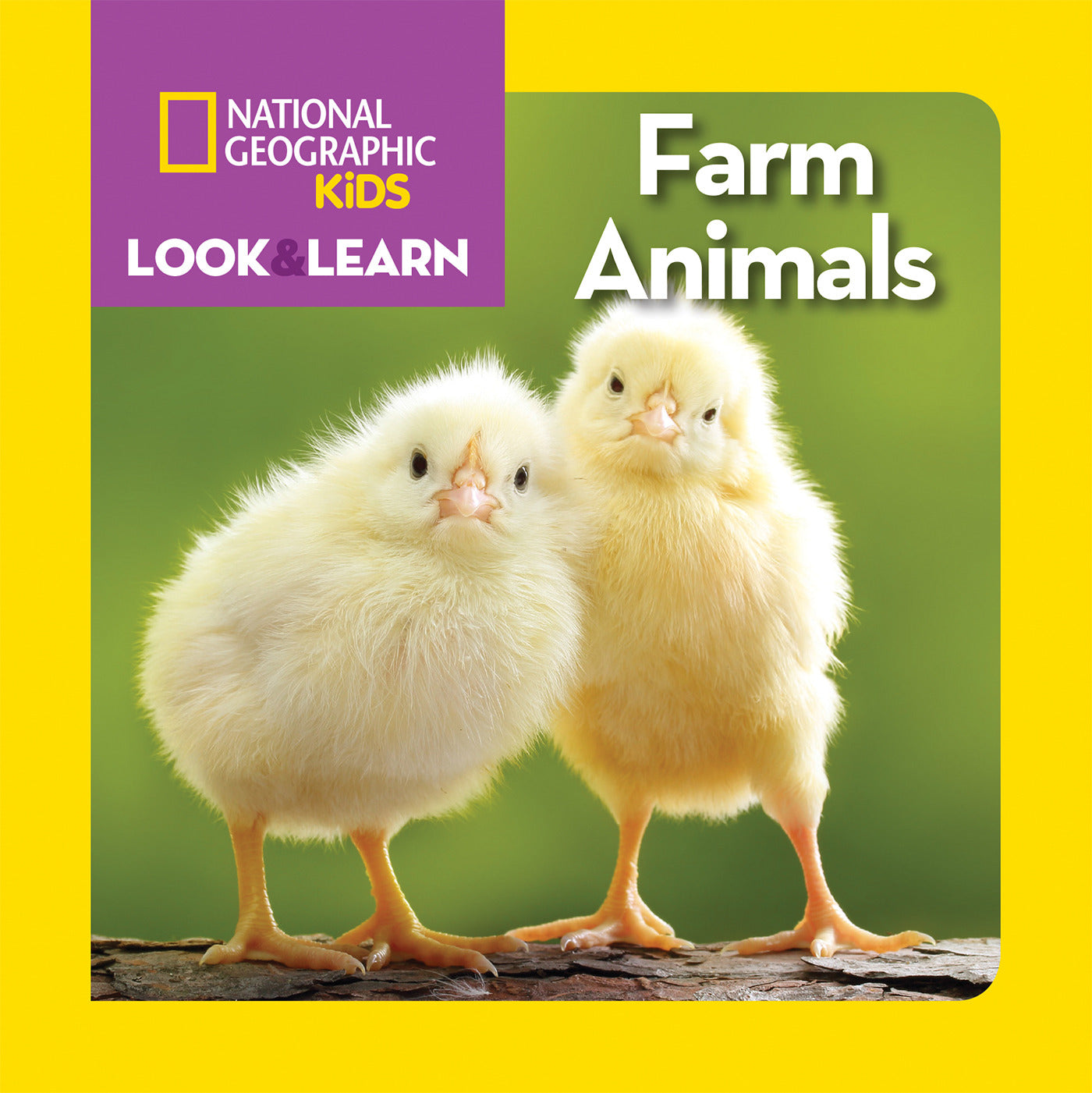 Two fluffy yellow chicks on the cover of a National Geographic Kids board book about farm animals.