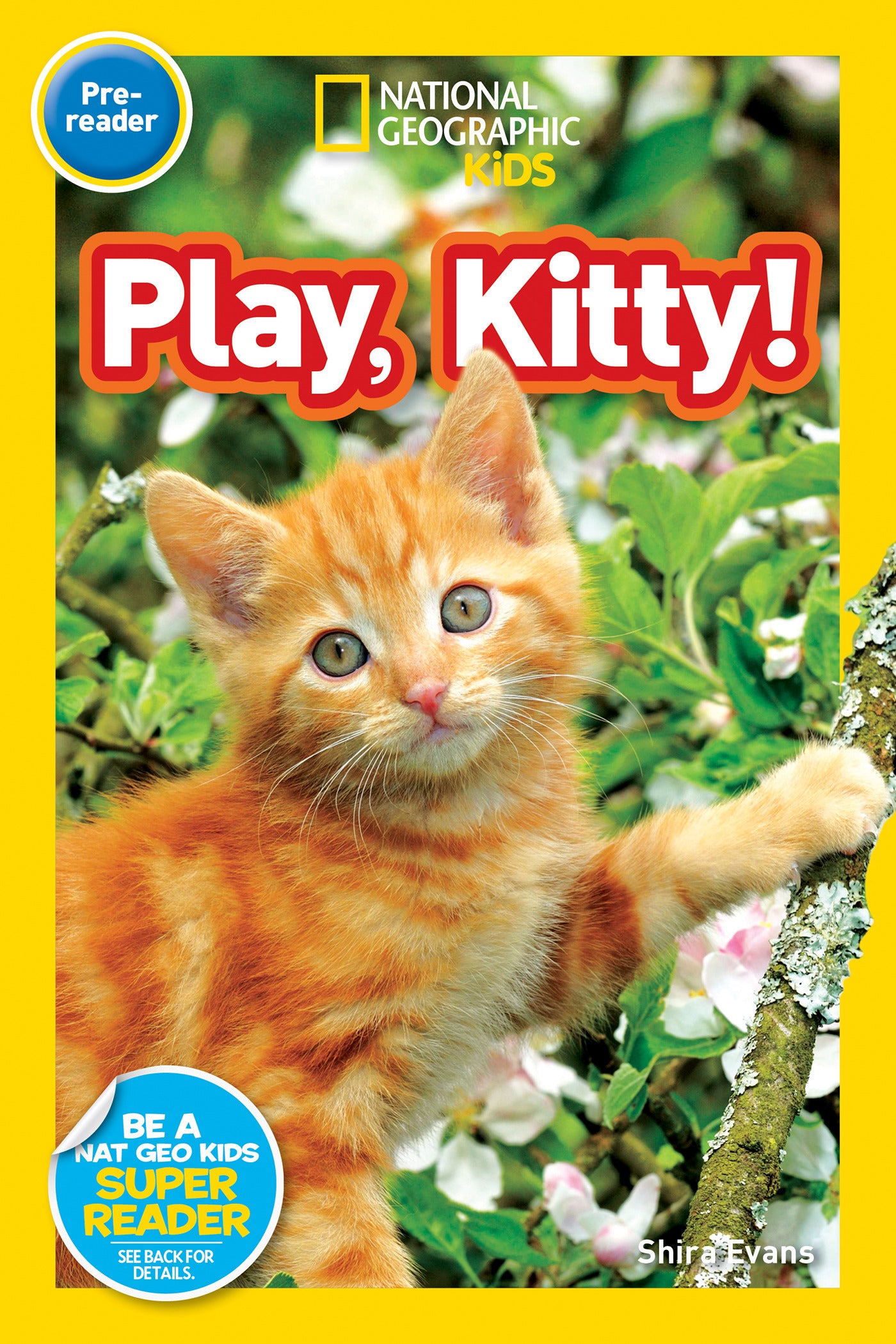 Cover of children's book featuring an orange kitten in a tree