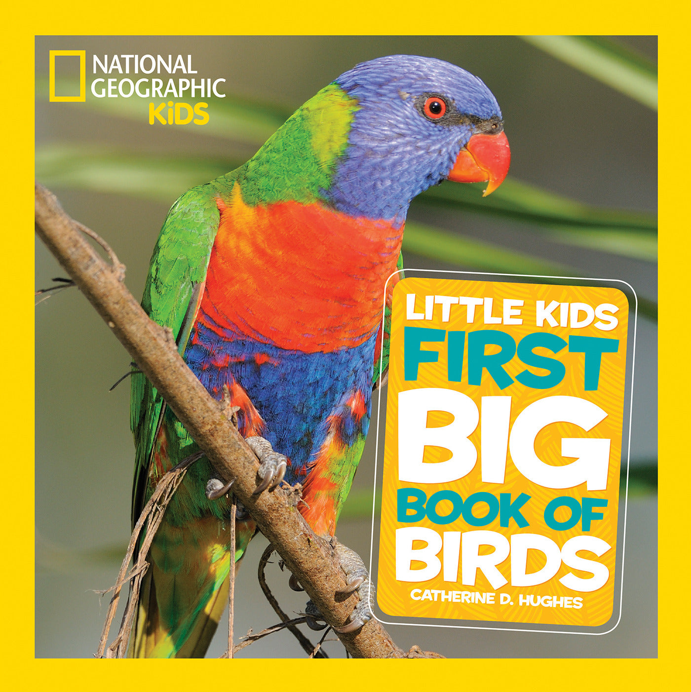 Colorful bird on the cover of a children's educational bird book