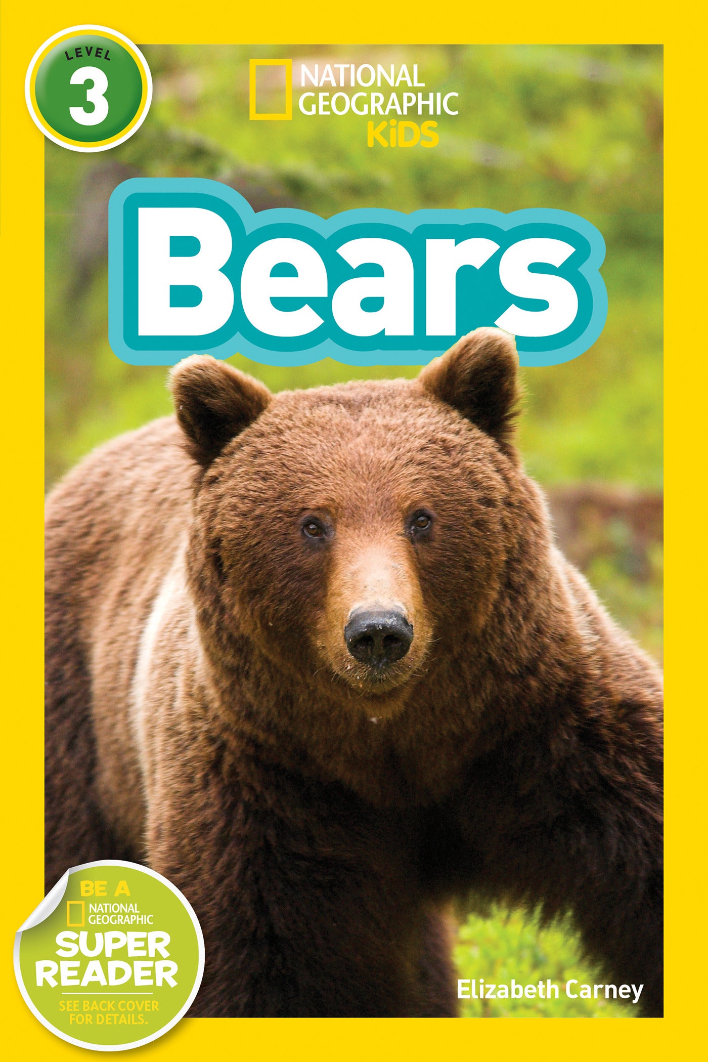 Children's book cover showing a brown bear with green background