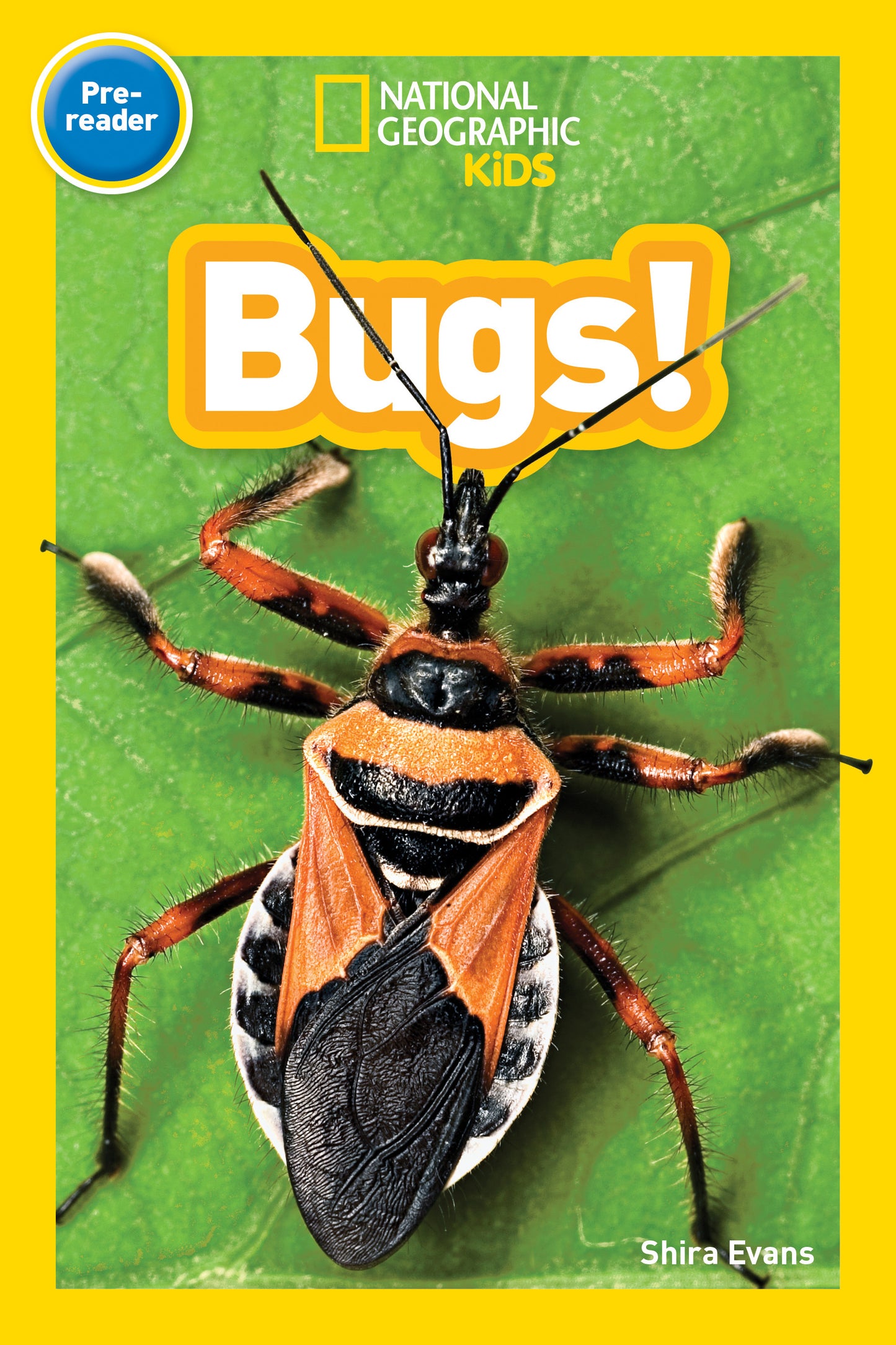 National Geographic Kids Readers Bugs! (National Geographic Kids Readers, Pre-Reader)