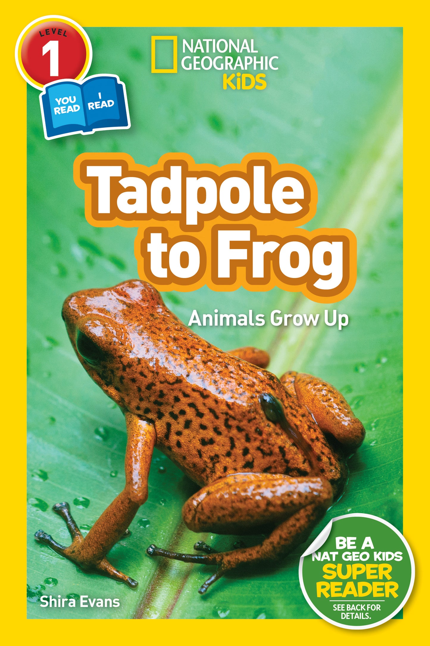 Children's book cover showing a frog on a green leaf, titled Tadpole to Frog