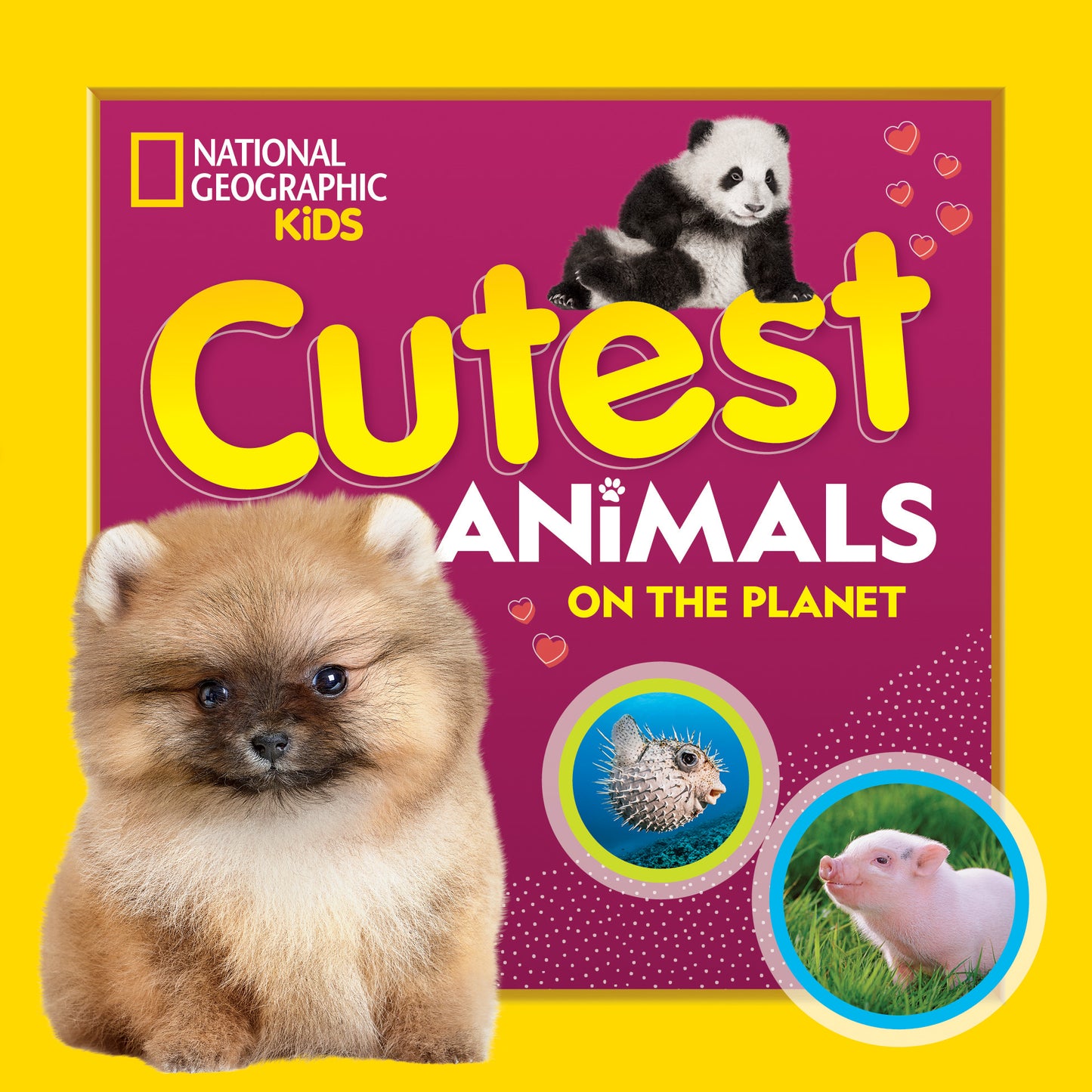 Colorful National Geographic Kids book cover with cute animals including a puppy and panda