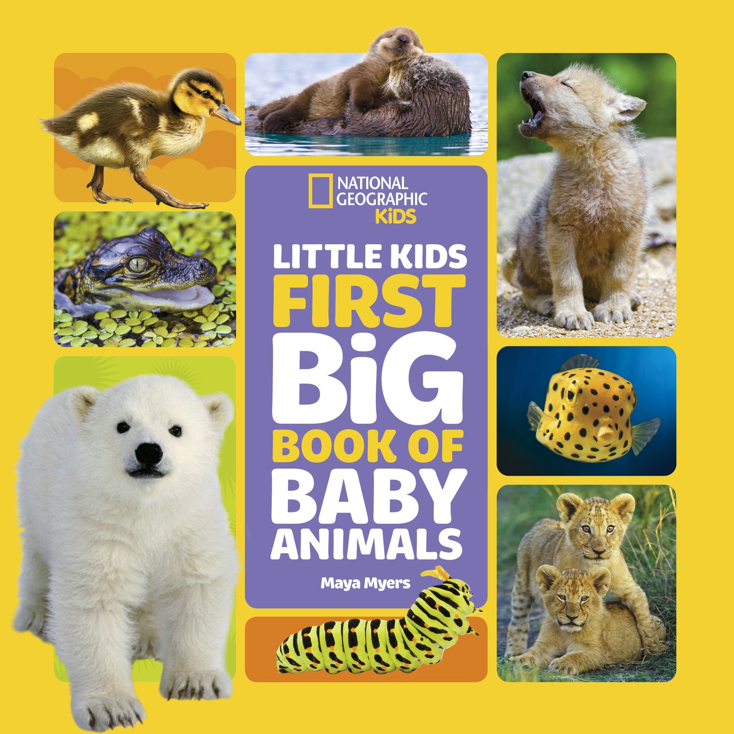 National Geographic Little Kids First Big Books National Geographic Little Kids First Big Book of Baby Animals