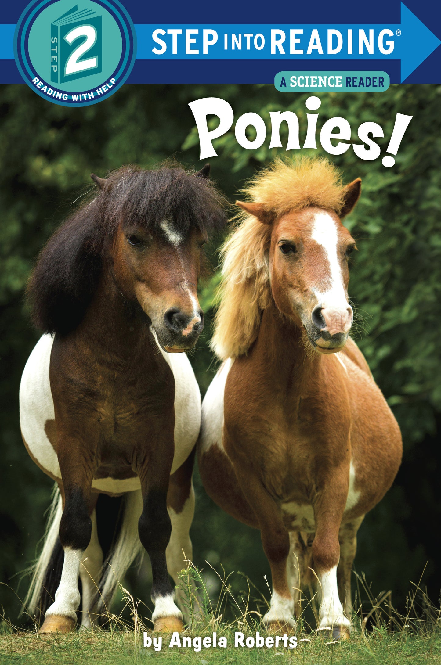 Colorful book cover featuring two ponies, one brown and white, the other chestnut with a blonde mane, for early readers.