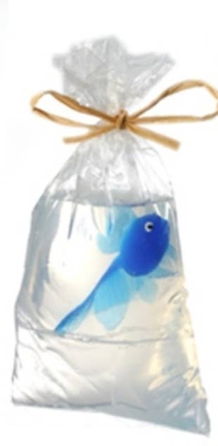 Blue fish-shaped soap nestled in a clear bag with a natural twine bow.