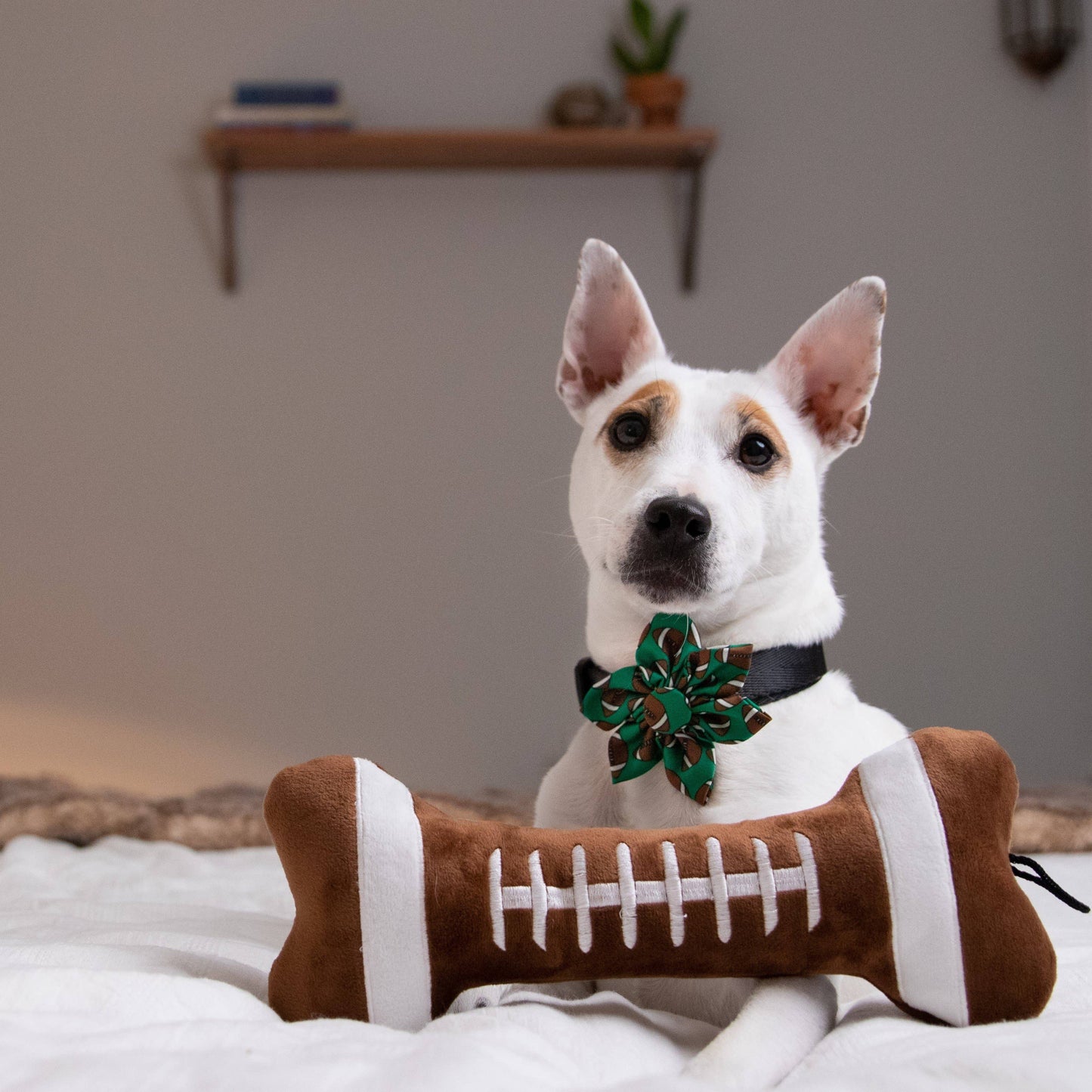 Brown and white football-shaped plush dog toy with durable stitching.