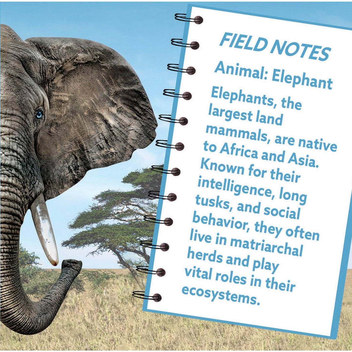 A 100-piece jigsaw puzzle featuring a detailed elephant design with nature-inspired artwork and educational facts.