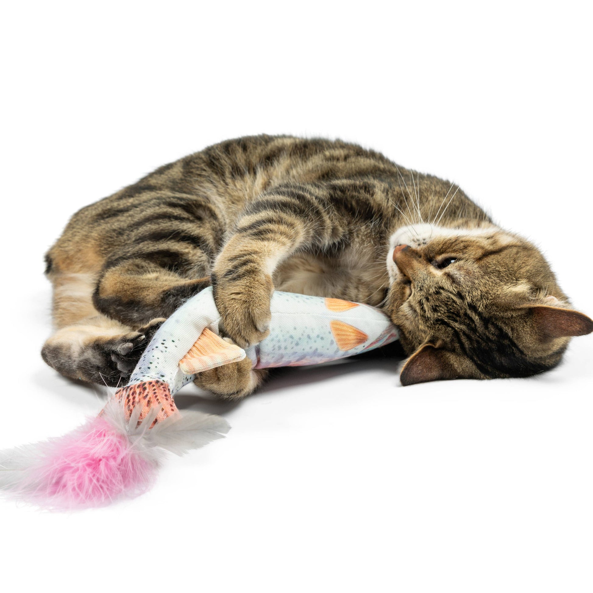 Plush rainbow trout cat toy with colorful fish pattern and pink feather tail, being bitten by a tabby cat.