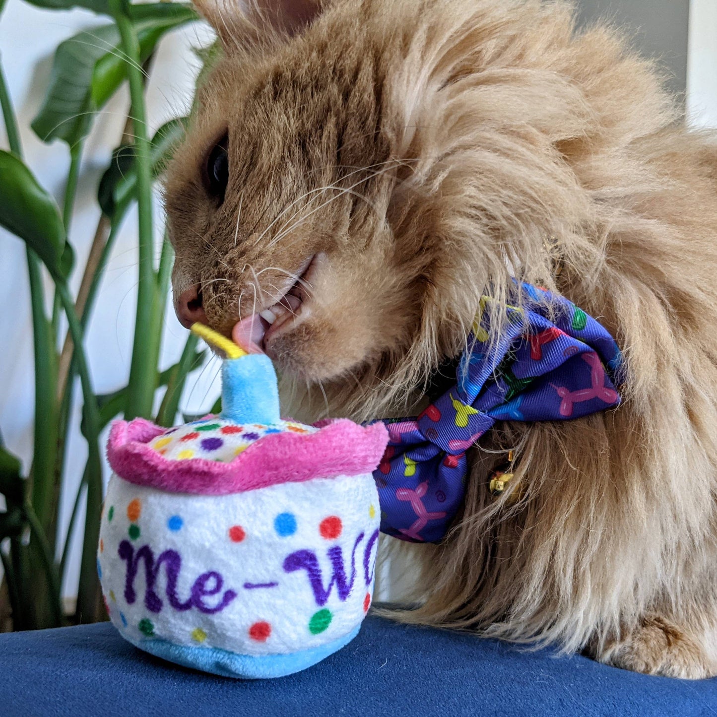 Plush cat toy designed like a colorful birthday cake with "me-w" text and a candle, filled with organic catnip.