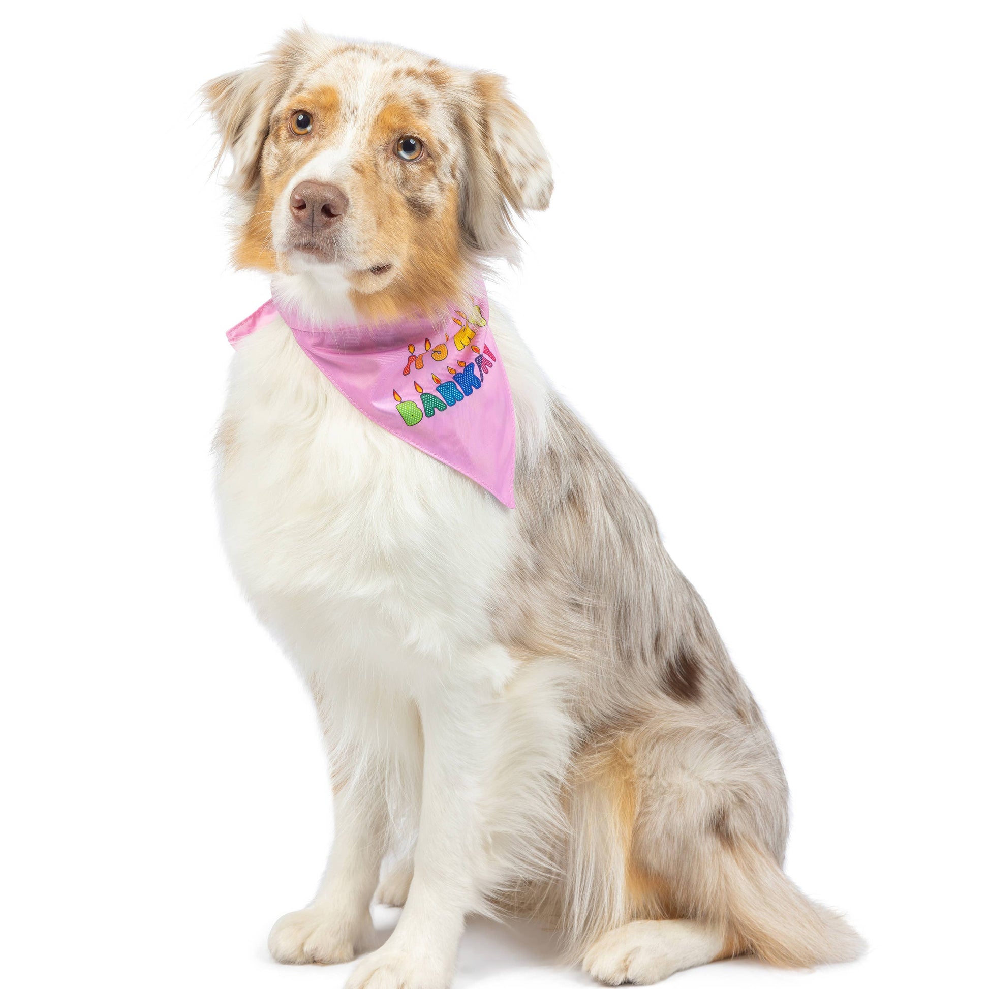 Dog wearing a pink double-sided bandana with colorful birthday candle print.