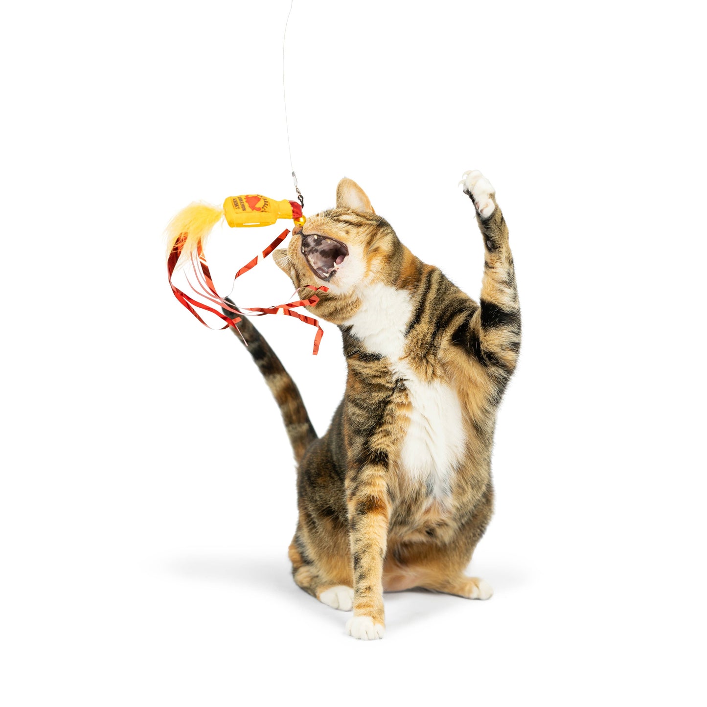 A playful cat snatches a red and yellow feathered wand toy attached to a plush catnip bottle.