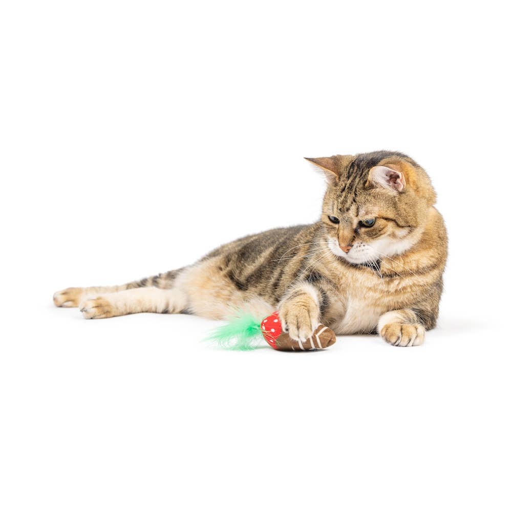 Brown and red crinkle cat toy with green feather, being pawed by a tabby cat.